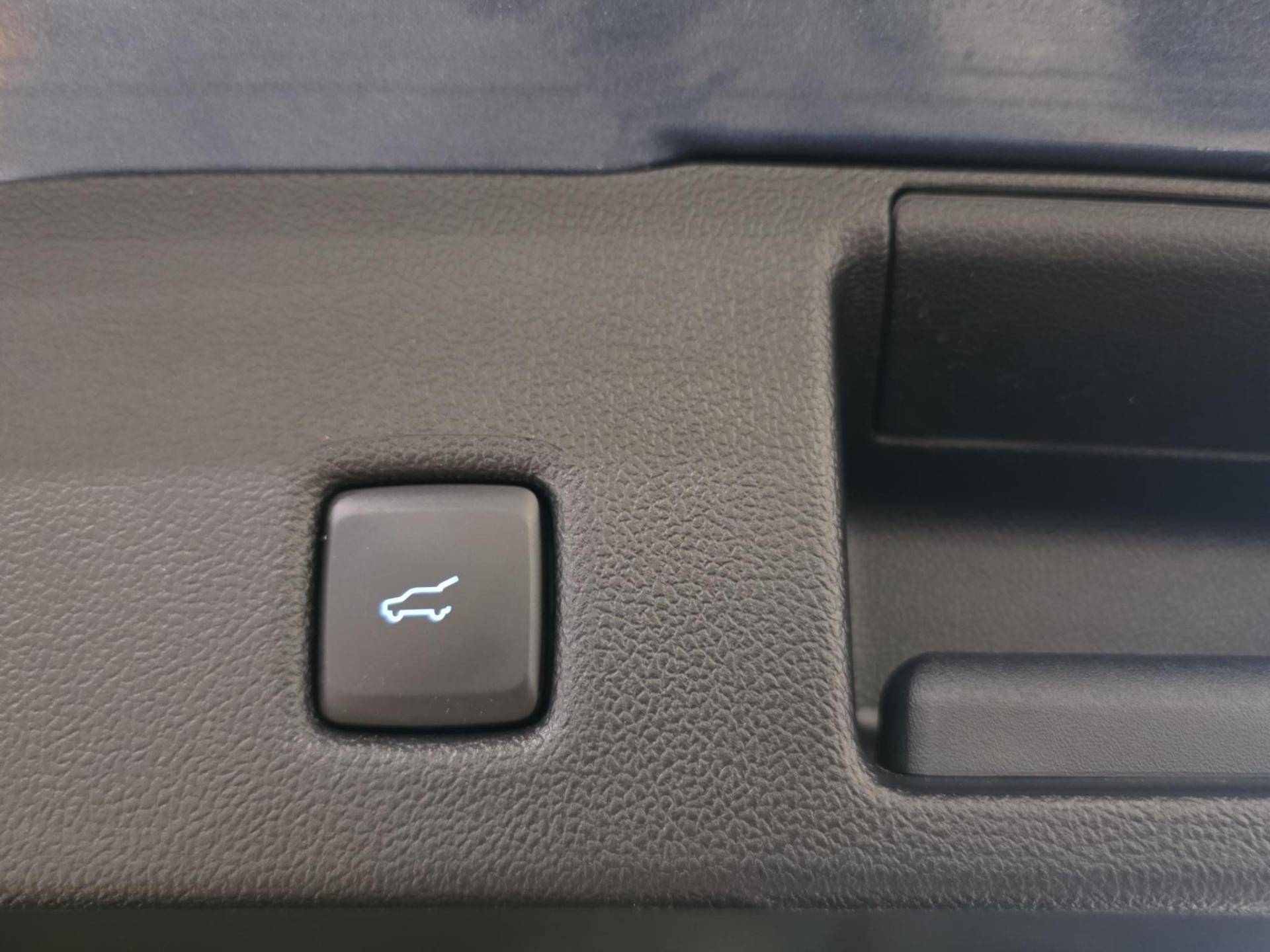 Auto Venduta - FORD Kuga Kuga 2.5 phev ST-Line X 2wd 225cv e-shifter usata in pronta consegna - Brandini