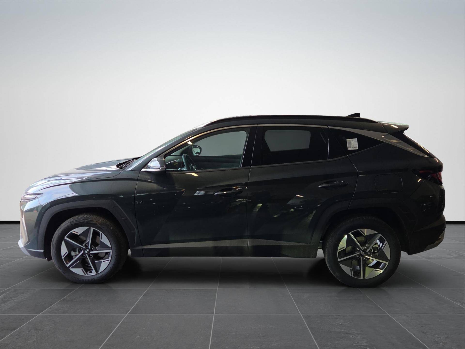 HYUNDAI Tucson Tucson 1.6 hev Business 2wd 239cv auto usata in pronta consegna - Brandini