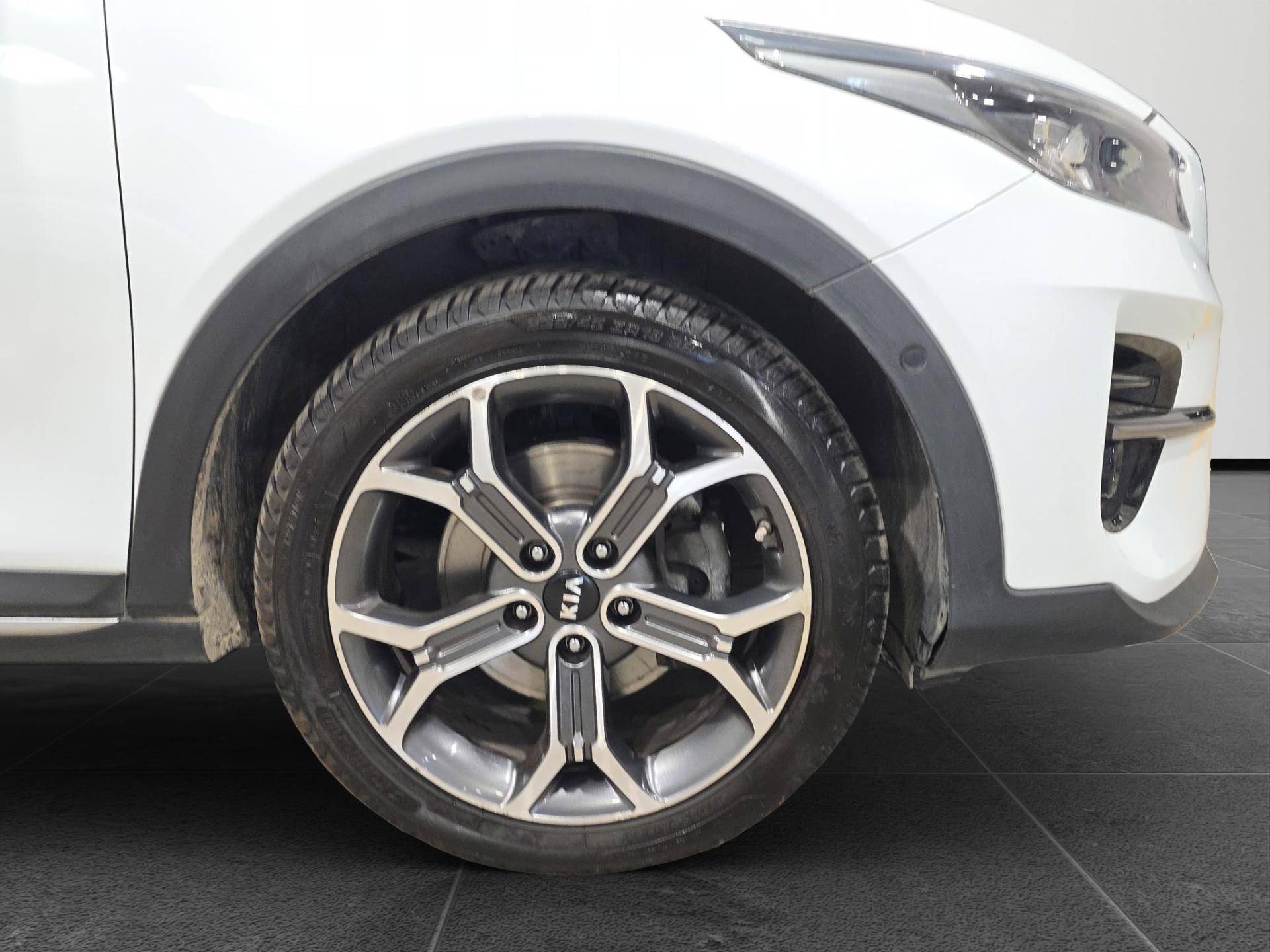 KIA XCeed Xceed 1.6 crdi mhev Style 136cv imt usata in pronta consegna - Brandini