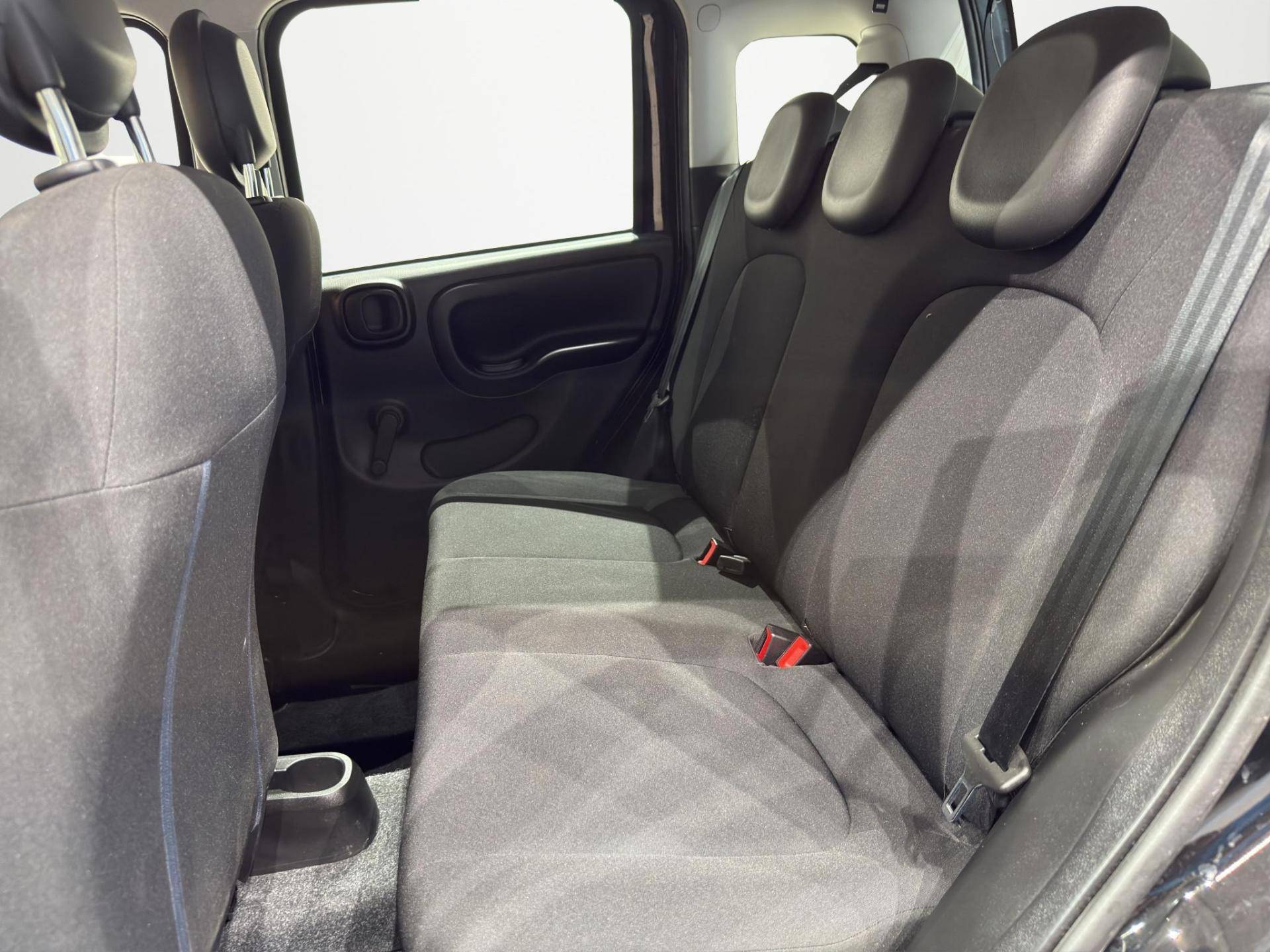 FIAT Panda Panda 1.0 firefly hybrid Icon s&s 70cv 5p.ti usata in pronta consegna - Brandini