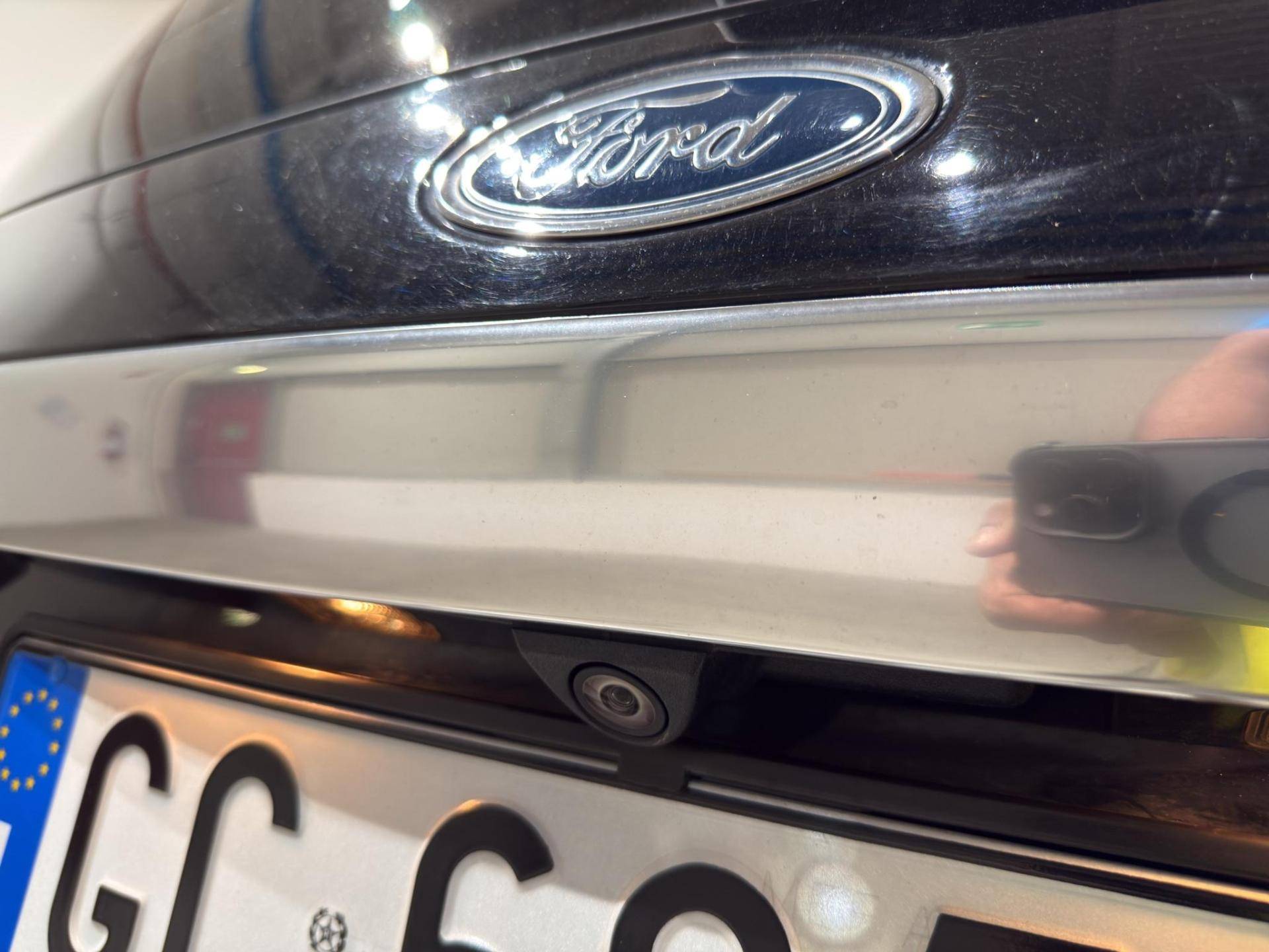 FORD S-Max S-Max 2.0 ecoblue Titanium Business s&s 150cv my20 usata in pronta consegna - Brandini