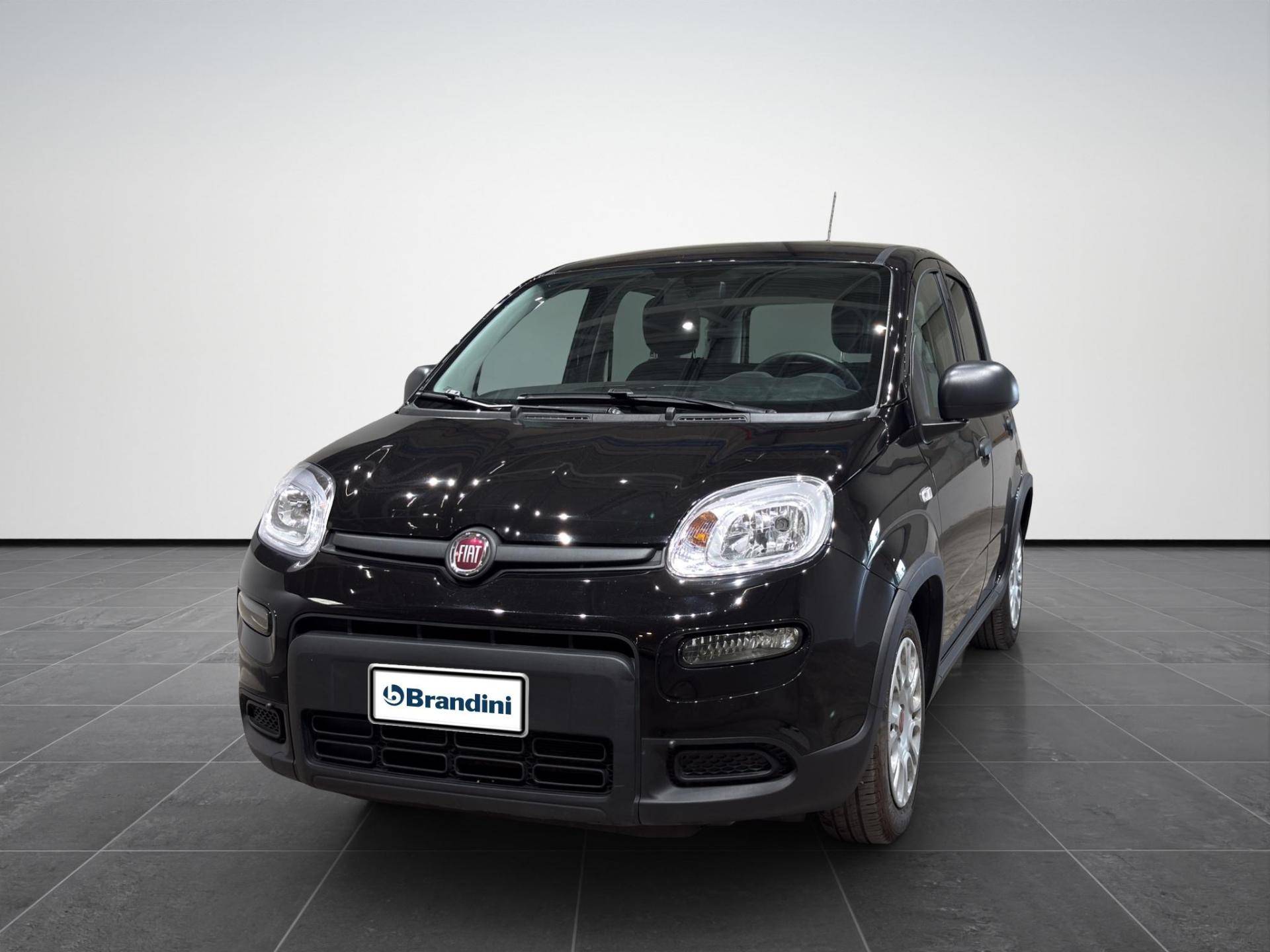 FIAT Panda Panda 1.0 firefly hybrid s&s 70cv usata in pronta consegna - Brandini