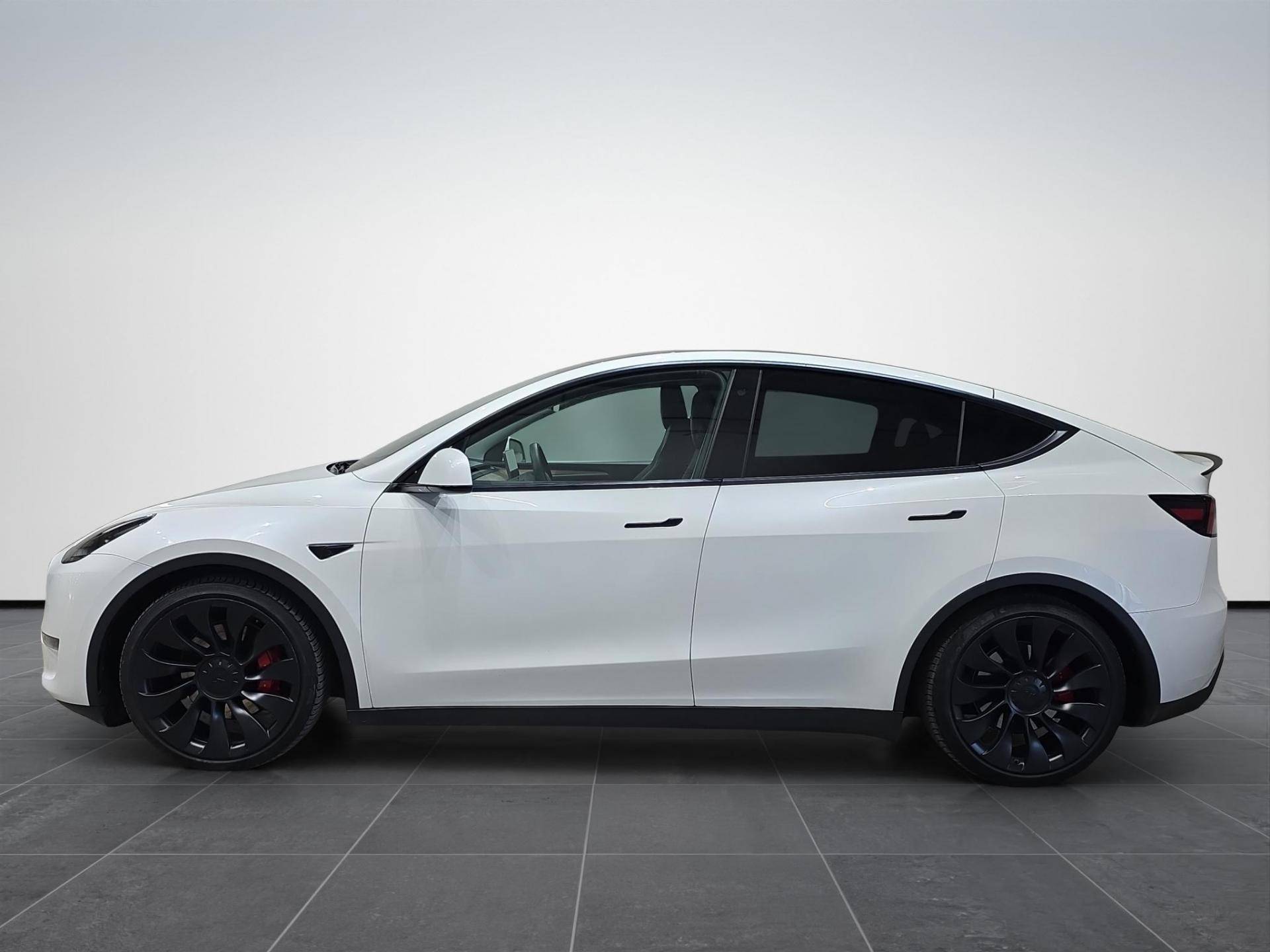TESLA Model Y Model Y Performance Dual Motor awd usata in pronta consegna - Brandini