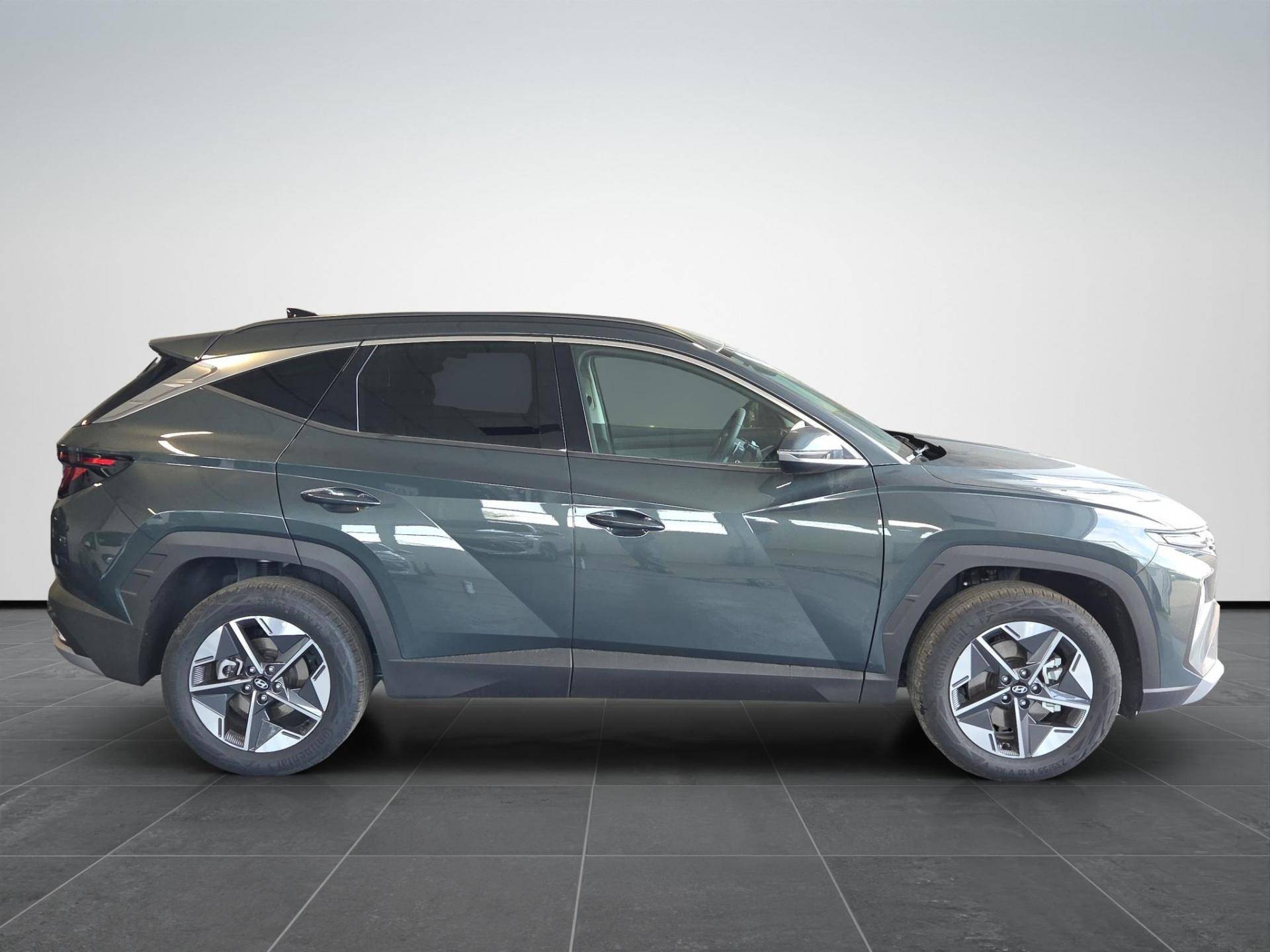 HYUNDAI Tucson Tucson 1.6 hev Business 2wd 239cv auto usata in pronta consegna - Brandini
