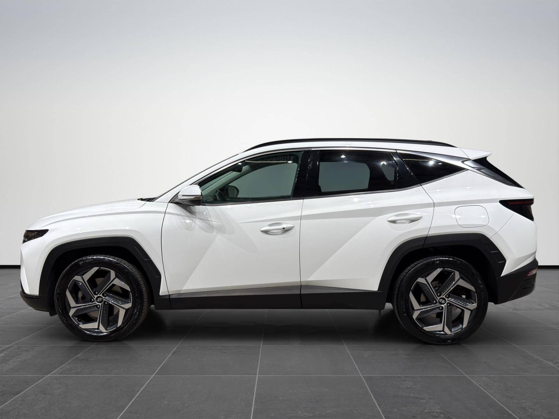 HYUNDAI Tucson Tucson 1.6 hev Exellence 4wd auto usata in pronta consegna - Brandini