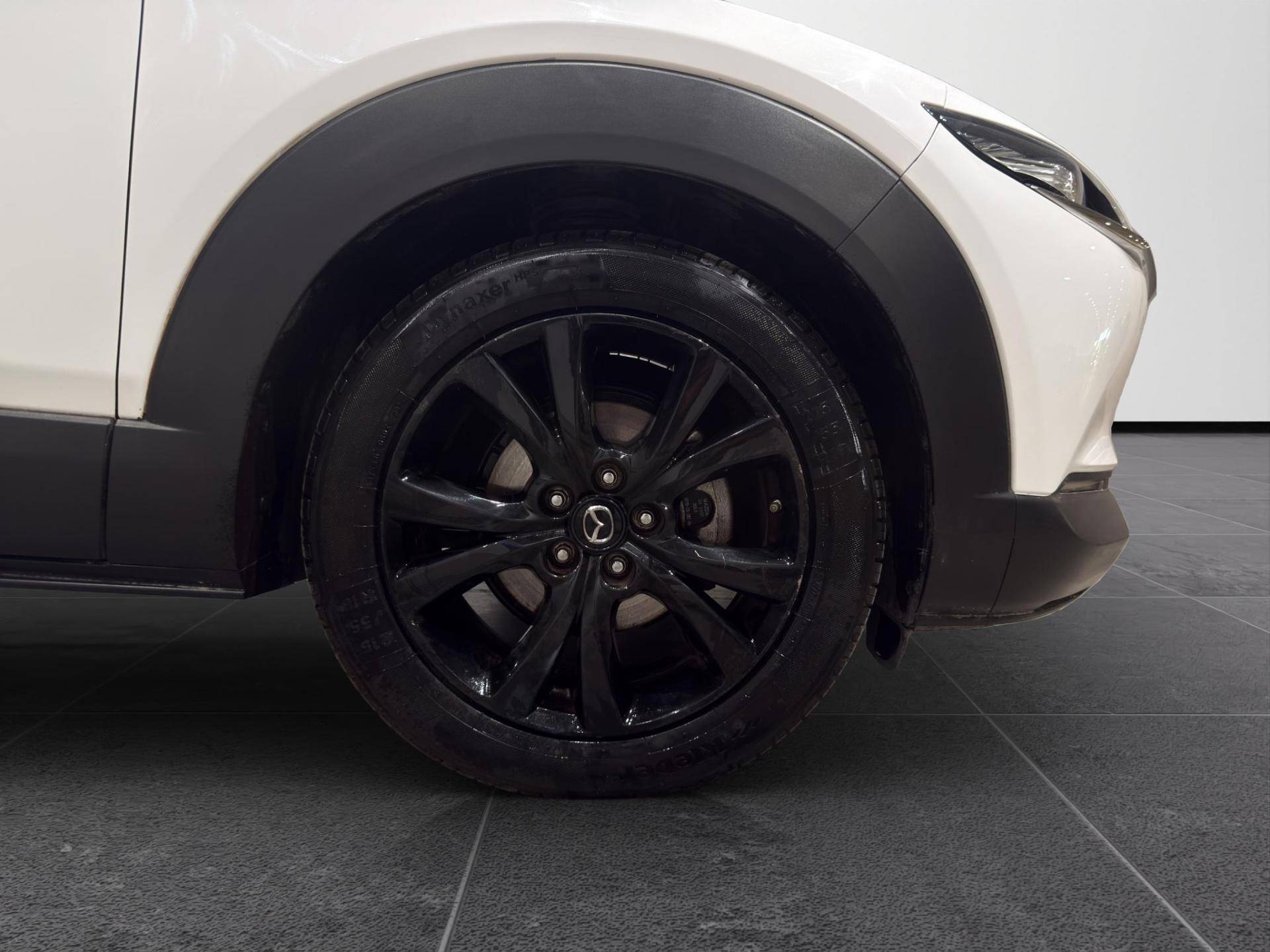 MAZDA CX-30 CX-30 2.0 m-hybrid Homura 2wd 150cv 6at usata in pronta consegna - Brandini
