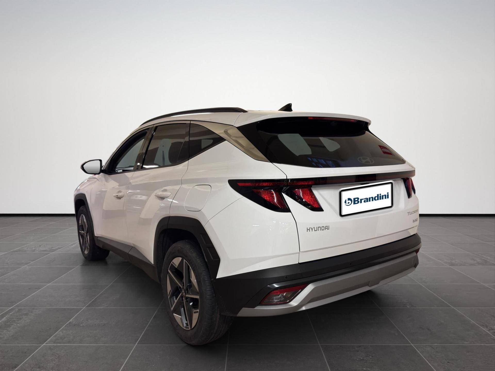 HYUNDAI Tucson Tucson 1.6 hev Business 2wd 239cv auto usata in pronta consegna - Brandini