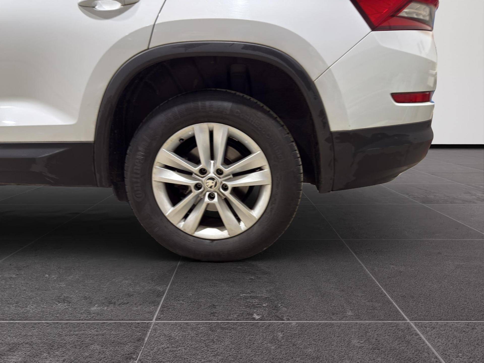 SKODA Kodiaq Kodiaq 2.0 tdi Style 4x4 dsg usata in pronta consegna - Brandini