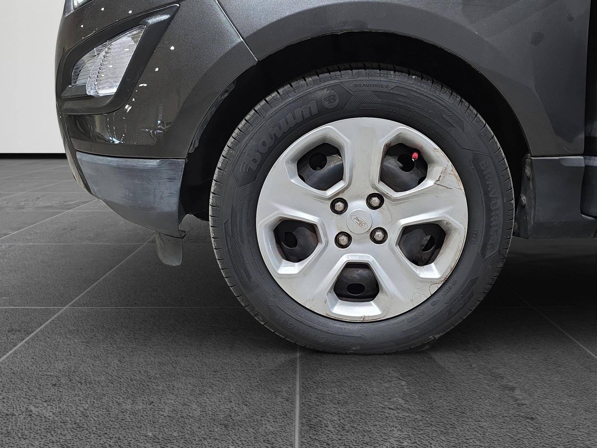FORD EcoSport EcoSport 1.5 ecoblue Plus s&s 100cv my19 usata in pronta consegna - Brandini