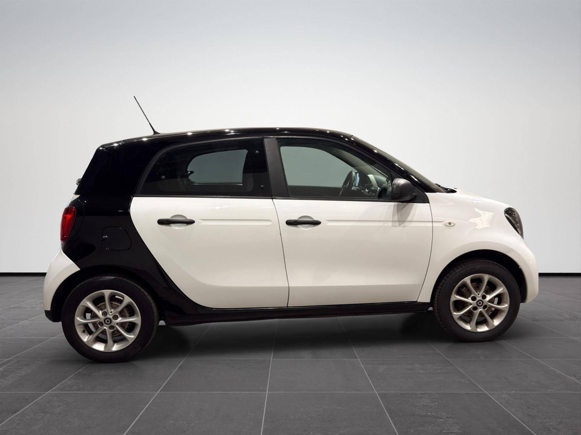 SMART Forfour Forfour 1.0 Urban (sport edition1) 71cv twinamic usata in pronta consegna - Brandini