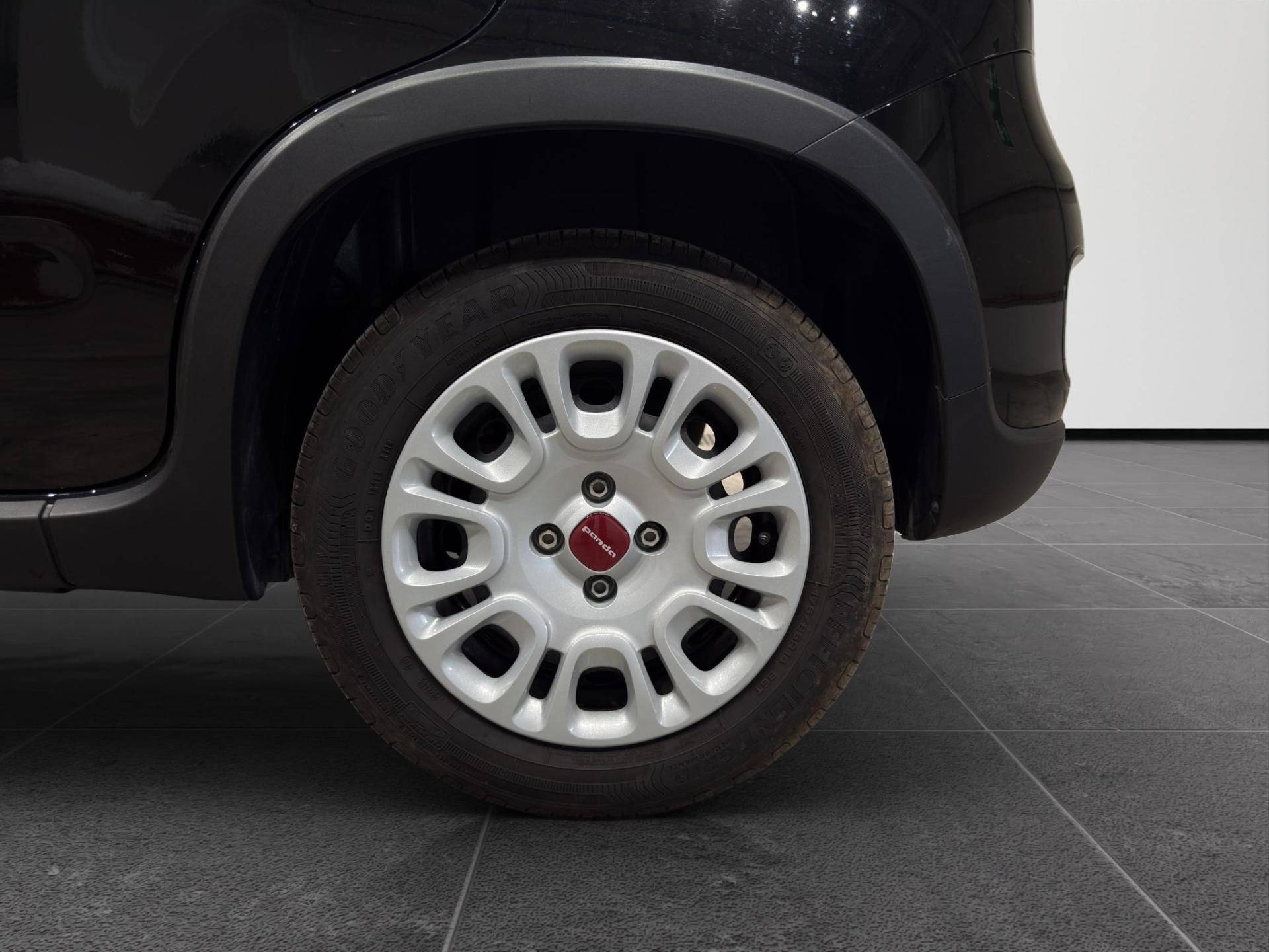FIAT Panda Panda 1.0 firefly hybrid s&s 70cv usata in pronta consegna - Brandini