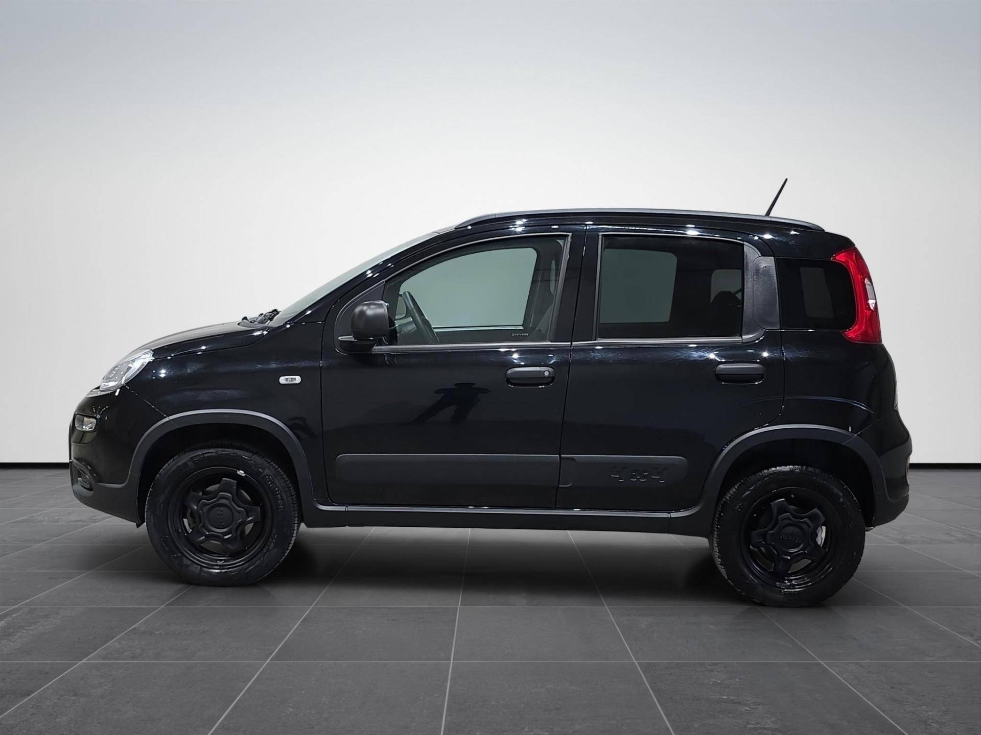 Auto Venduta - FIAT Panda Panda 0.9 t.air t. Wild 4x4 s&s 85cv usata in pronta consegna - Brandini
