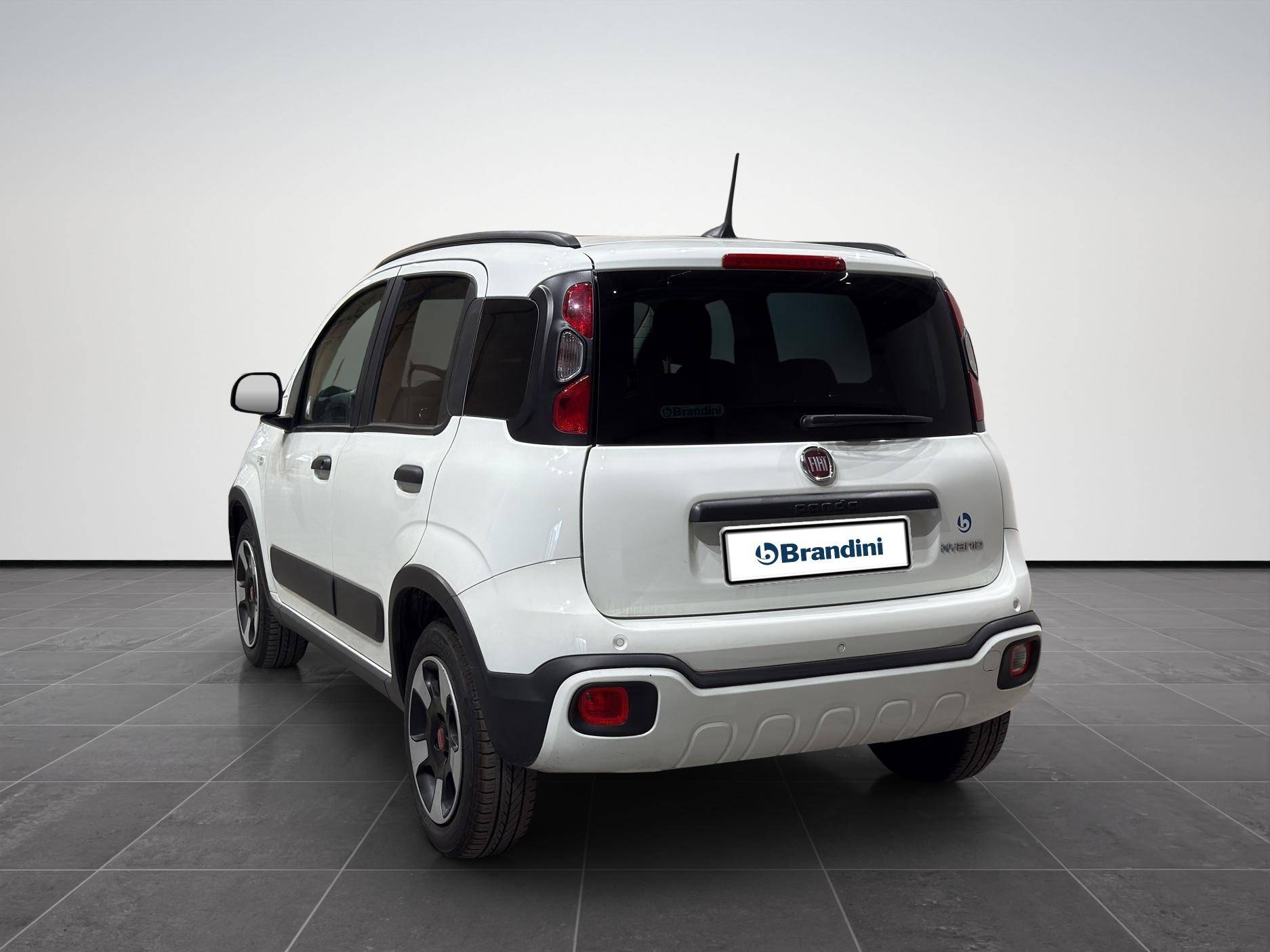 FIAT Panda Panda 1.0 firefly hybrid Cross s&s 70cv 5p.ti usata in pronta consegna - Brandini