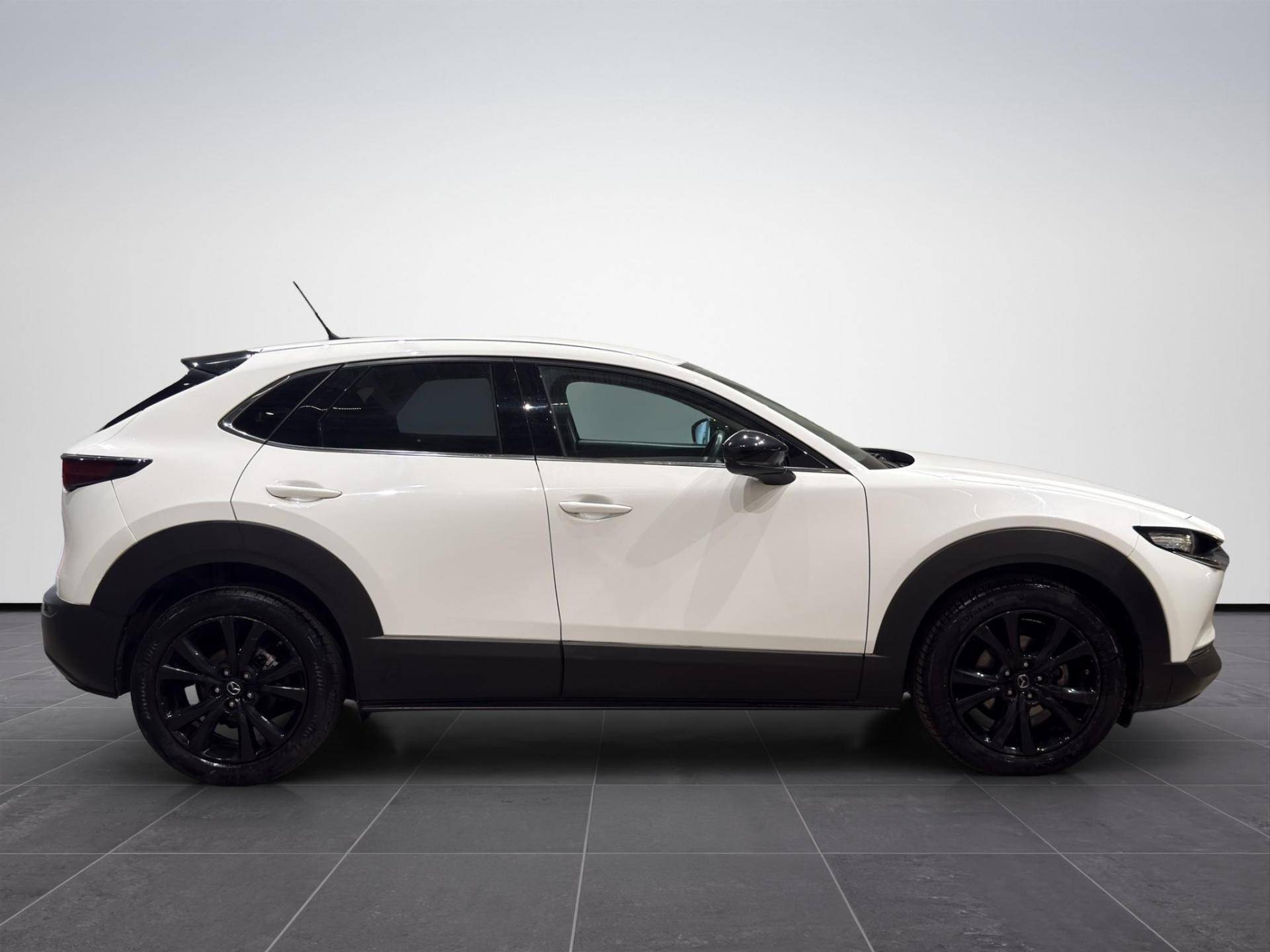 MAZDA CX-30 CX-30 2.0 m-hybrid Homura 2wd 150cv 6at usata in pronta consegna - Brandini