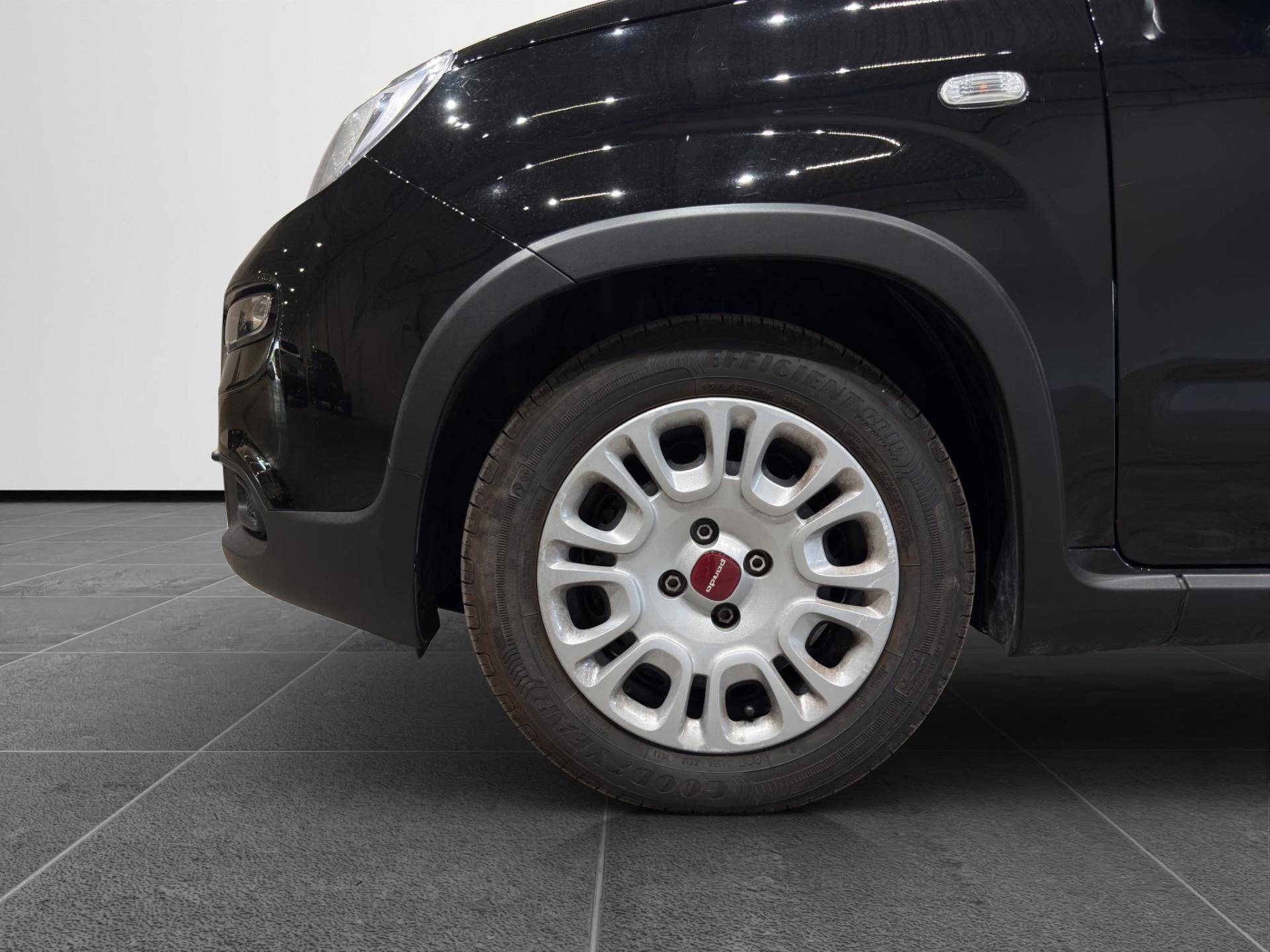 FIAT Panda Panda 1.0 firefly hybrid s&s 70cv usata in pronta consegna - Brandini