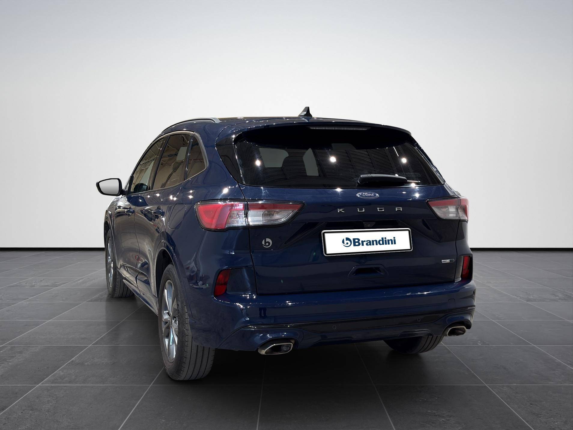 FORD Kuga Kuga 2.0 ecoblue mhev ST-Line 2wd 150cv usata in pronta consegna - Brandini