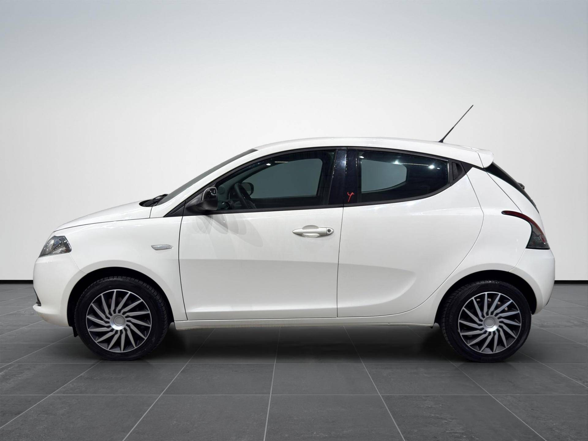 Auto Venduta - LANCIA Ypsilon Ypsilon 1.2 8v Silver c/clima 69cv usata in pronta consegna - Brandini
