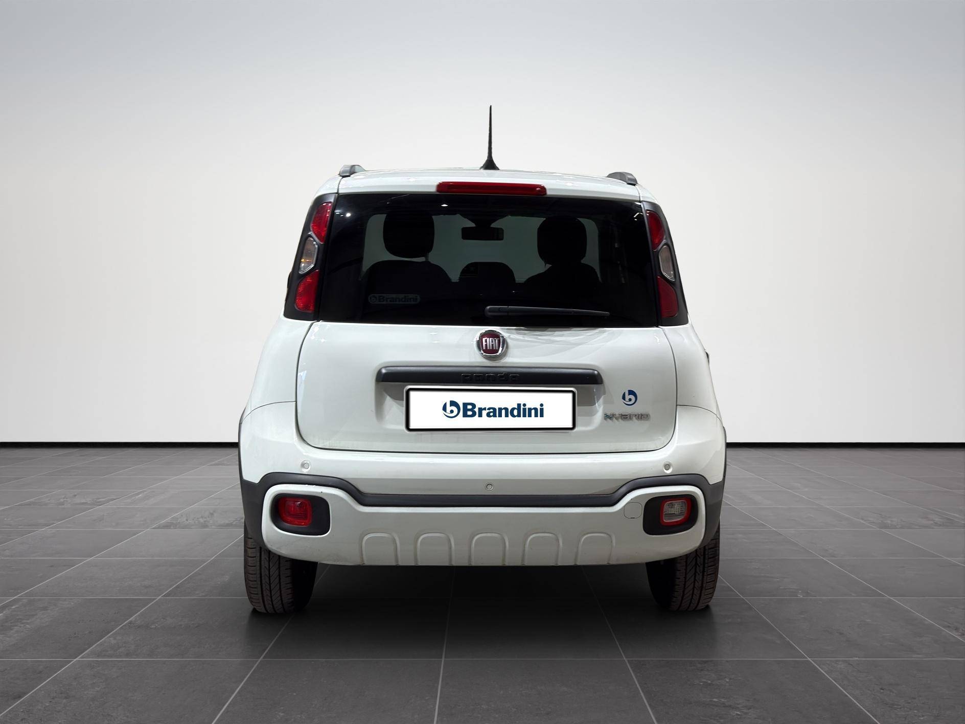 FIAT Panda Panda 1.0 firefly hybrid Cross s&s 70cv 5p.ti usata in pronta consegna - Brandini