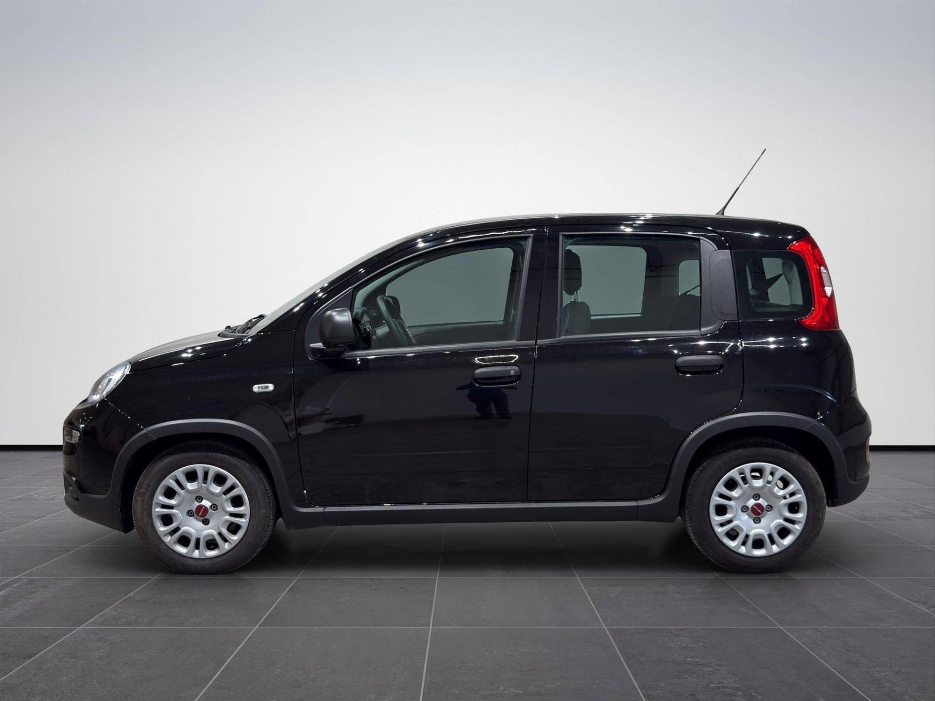 FIAT Panda Panda 1.0 firefly hybrid s&s 70cv usata in pronta consegna - Brandini