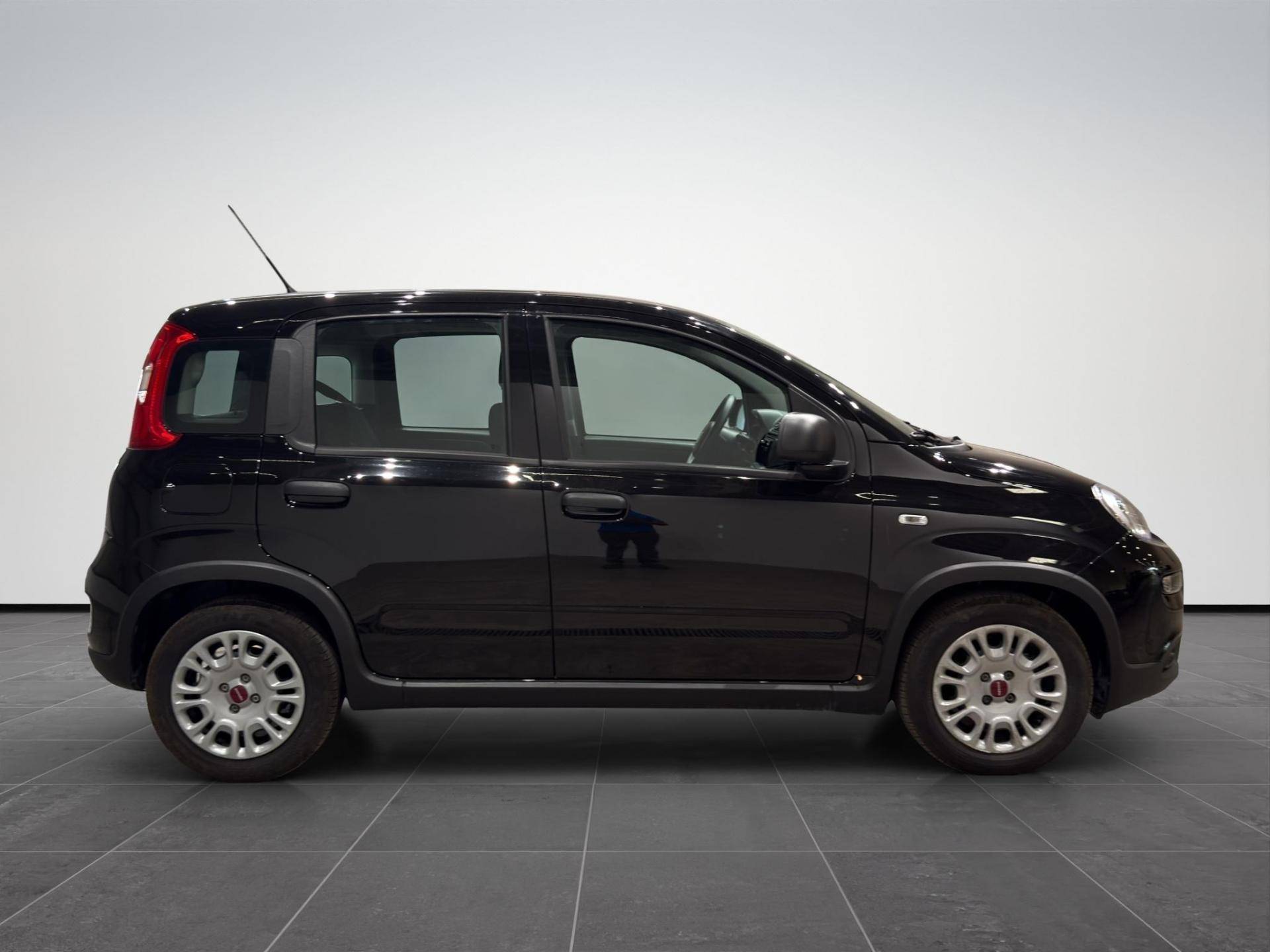FIAT Panda Panda 1.0 firefly hybrid s&s 70cv usata in pronta consegna - Brandini
