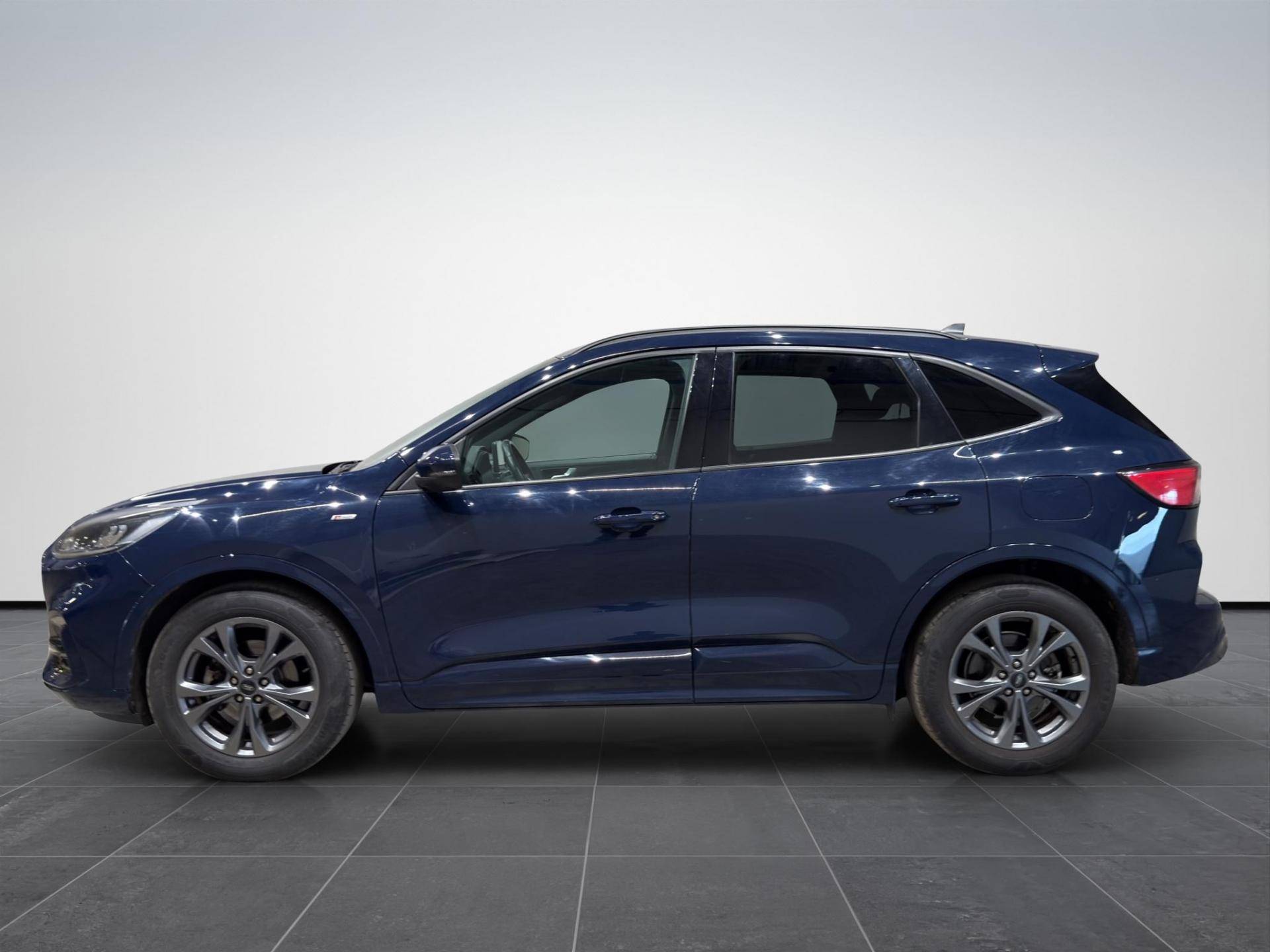 FORD Kuga Kuga 2.0 ecoblue mhev ST-Line 2wd 150cv usata in pronta consegna - Brandini