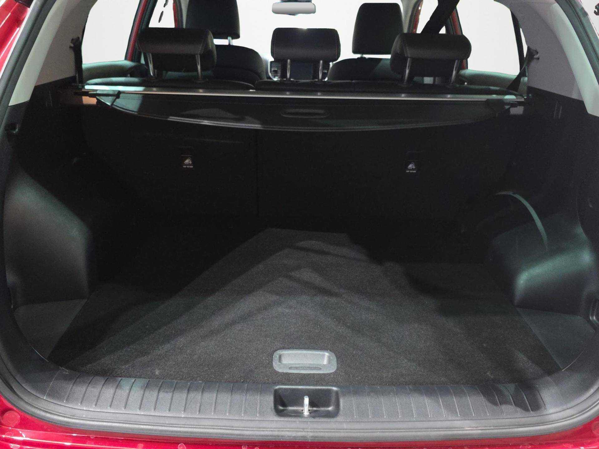 KIA Sportage Sportage 1.6 crdi Business Class Adas Pack 2wd 115cv usata in pronta consegna - Brandini