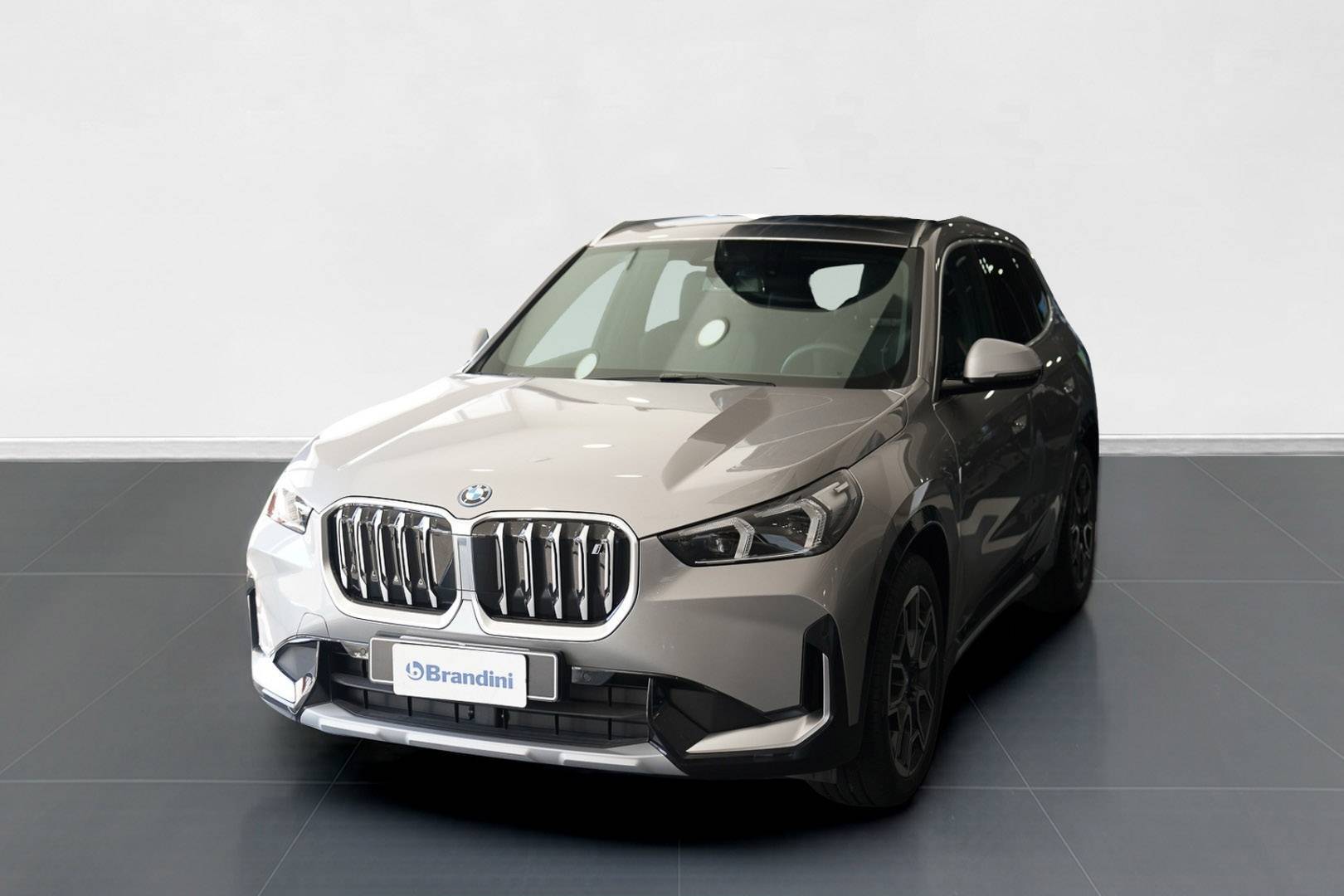 BMW X1 - Foto 1