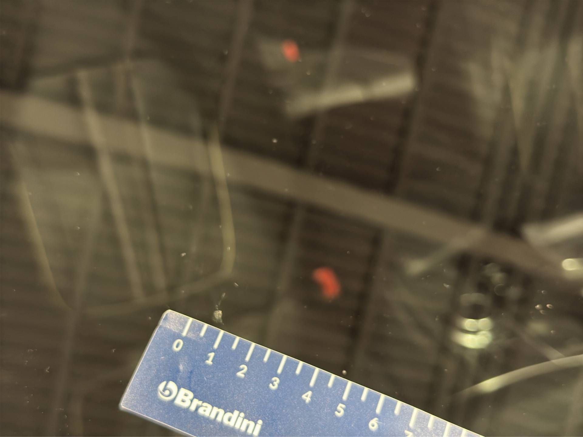 BMW Serie 5 Touring - Foto 29