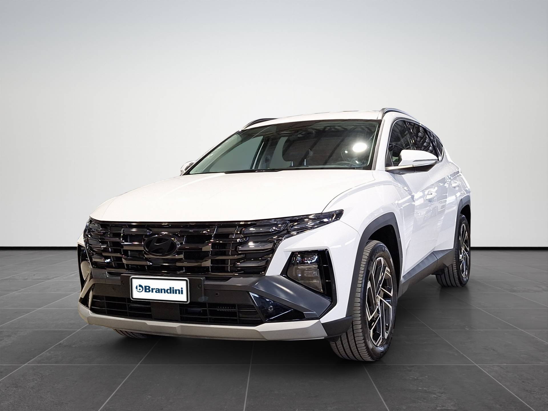 HYUNDAI TUCSON Tucson 1.6 phev Exellence 2wd auto usata in pronta consegna - Brandini