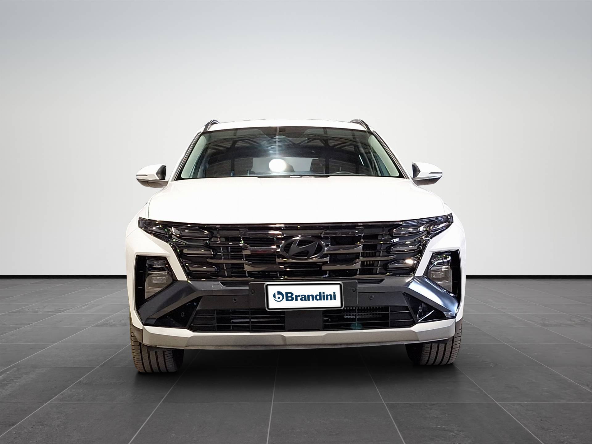 HYUNDAI TUCSON Tucson 1.6 phev Exellence 2wd auto usata in pronta consegna - Brandini