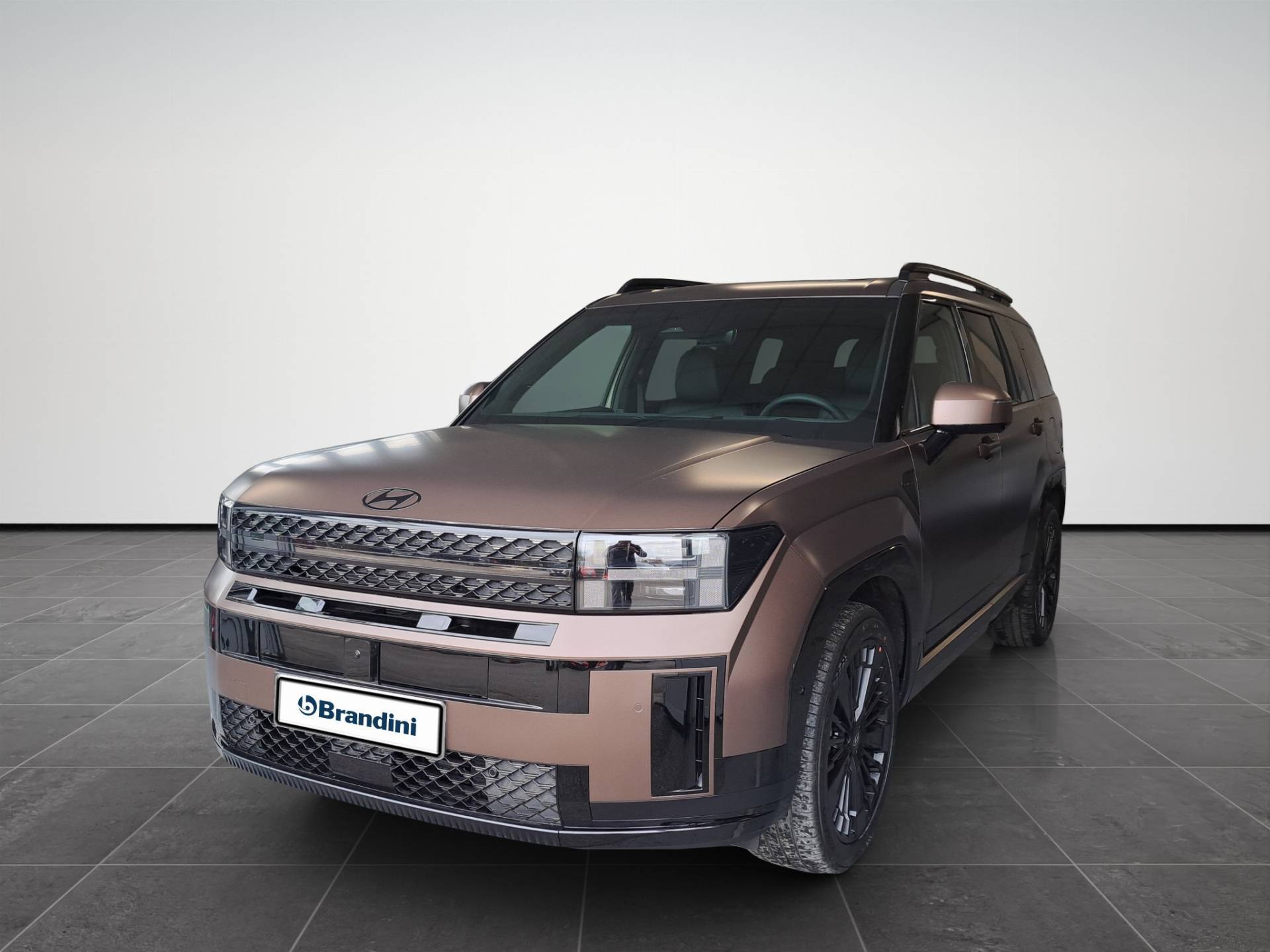 Auto Venduta - HYUNDAI SANTA FE Santa Fe 1.6 t-gdi hev XClass Calligraphy Pack 4wd 215cv at 7p.ti usata in pronta consegna - Brandini