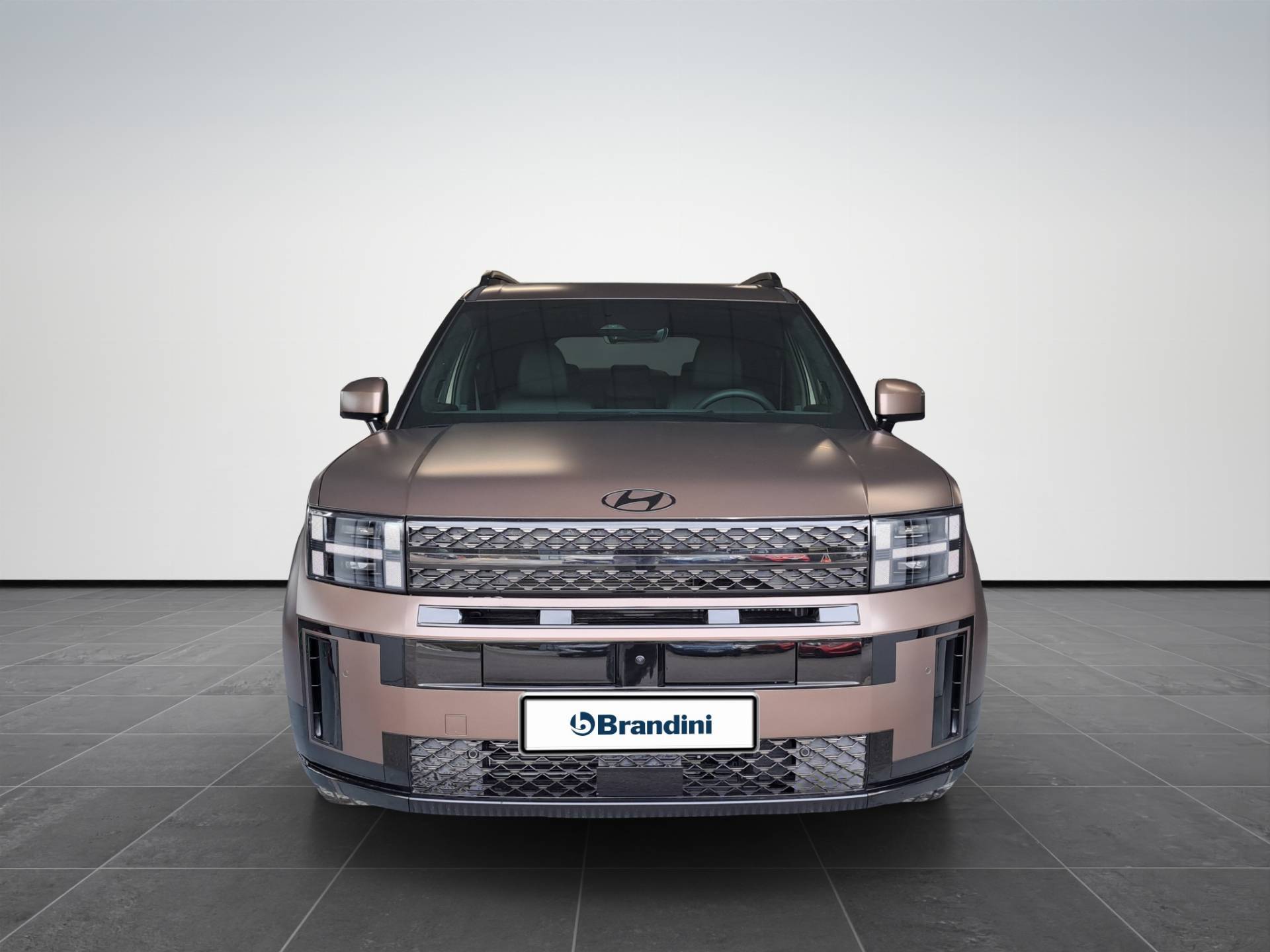 Auto Venduta - HYUNDAI SANTA FE Santa Fe 1.6 t-gdi hev XClass Calligraphy Pack 4wd 215cv at 7p.ti usata in pronta consegna - Brandini