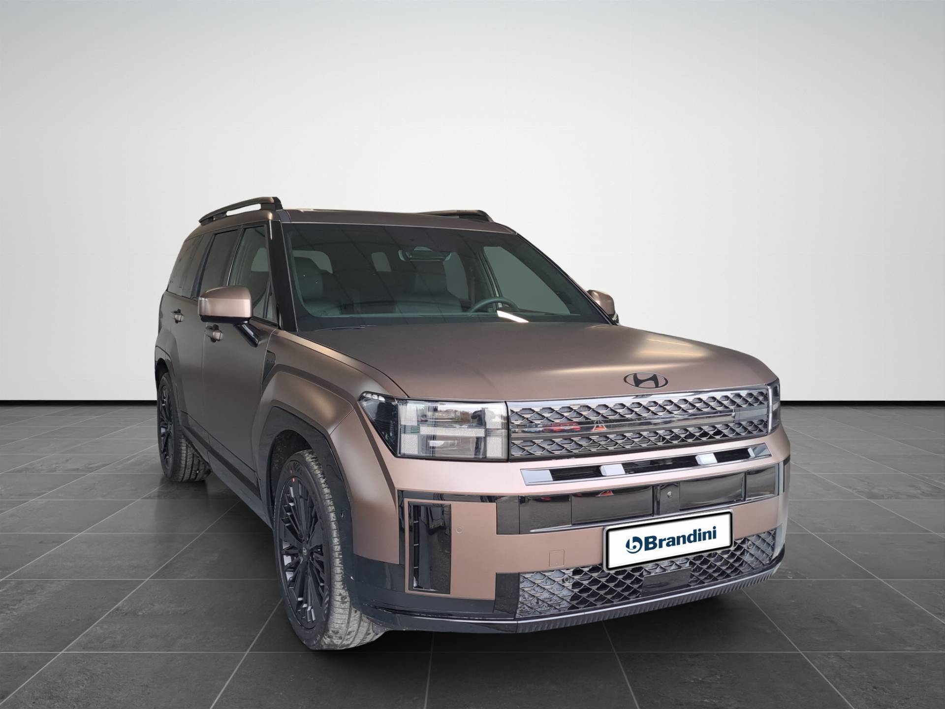 Auto Venduta - HYUNDAI SANTA FE Santa Fe 1.6 t-gdi hev XClass Calligraphy Pack 4wd 215cv at 7p.ti usata in pronta consegna - Brandini