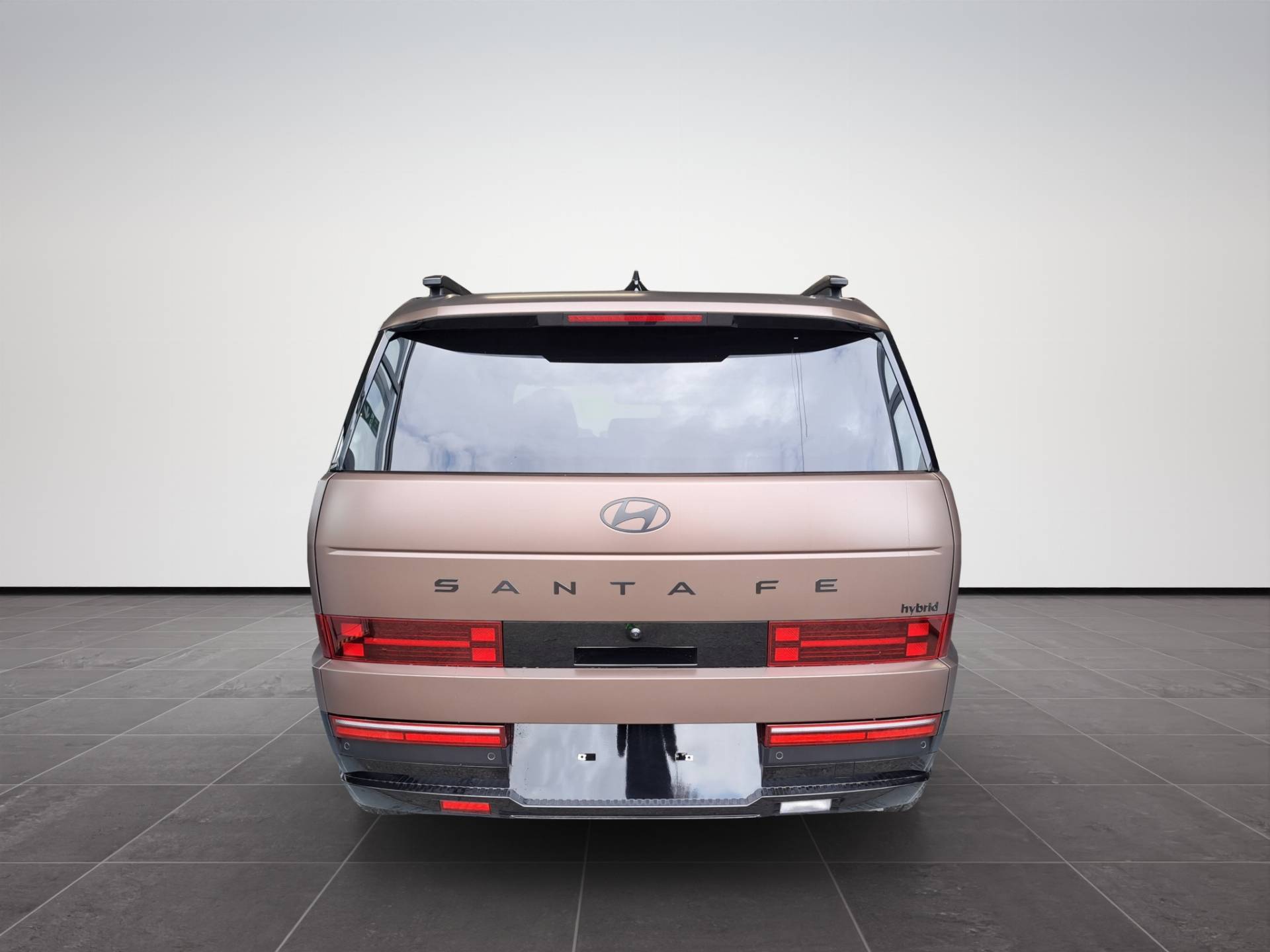 Auto Venduta - HYUNDAI SANTA FE Santa Fe 1.6 t-gdi hev XClass Calligraphy Pack 4wd 215cv at 7p.ti usata in pronta consegna - Brandini