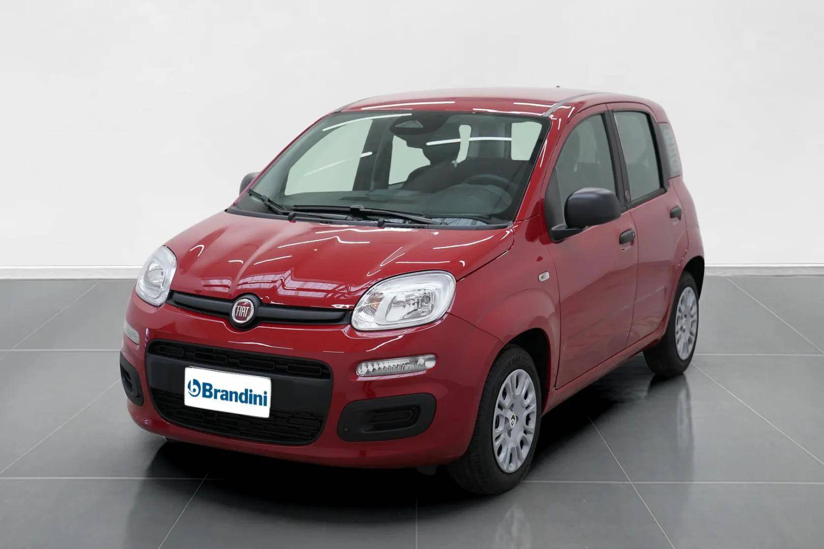FIAT Panda Pandina 1.0 firefly hybrid Pop s&s 65cv usata in pronta consegna - Brandini