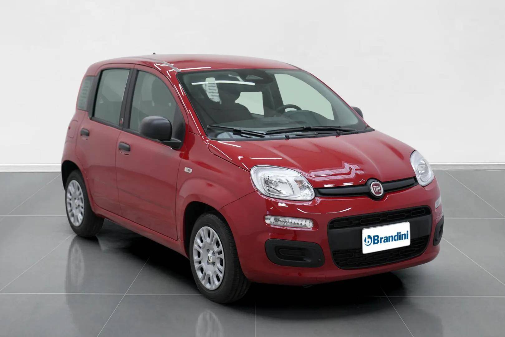 FIAT Panda Pandina 1.0 firefly hybrid Pop s&s 65cv usata in pronta consegna - Brandini