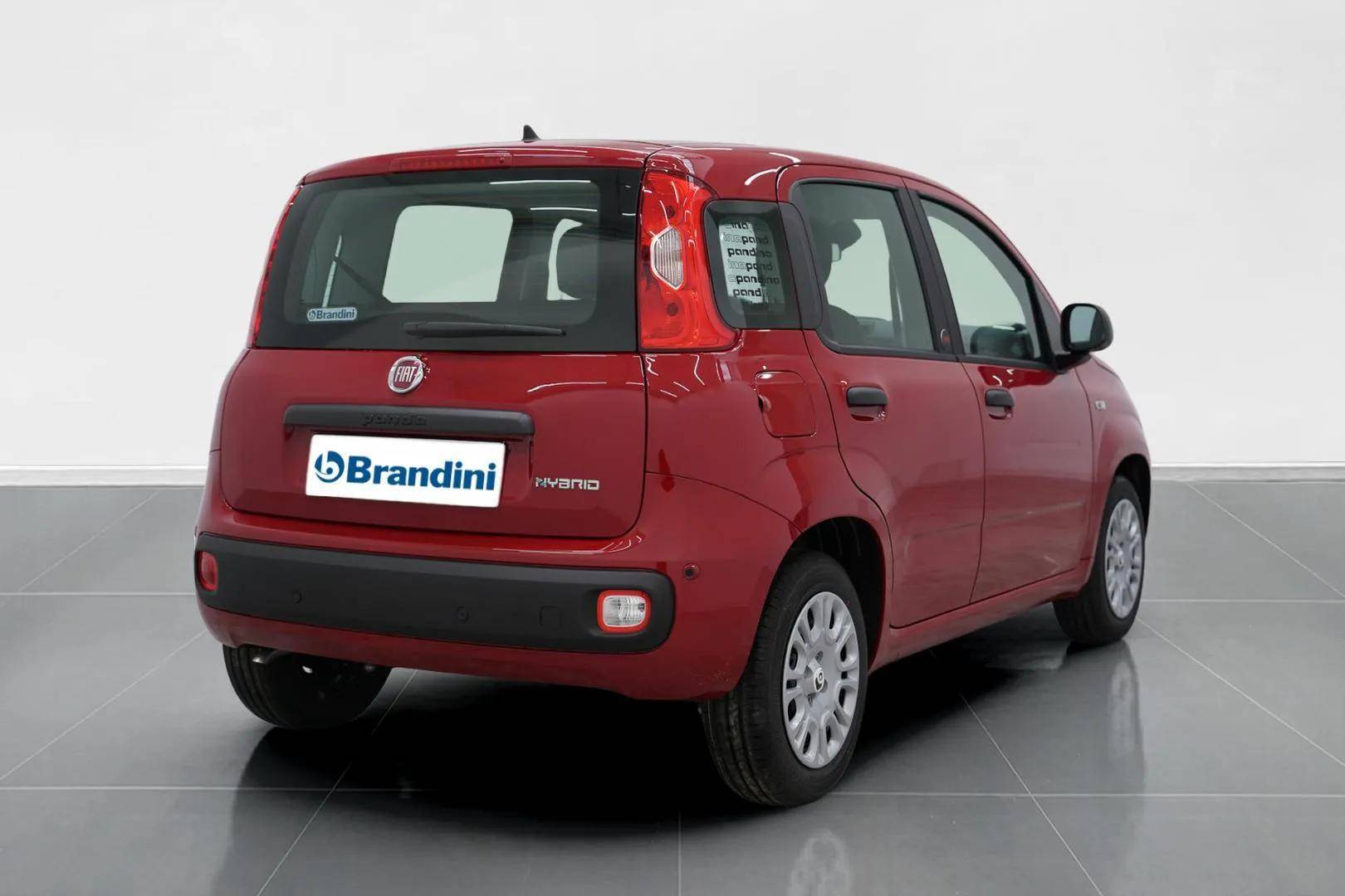 FIAT Panda Pandina 1.0 firefly hybrid Pop s&s 65cv usata in pronta consegna - Brandini