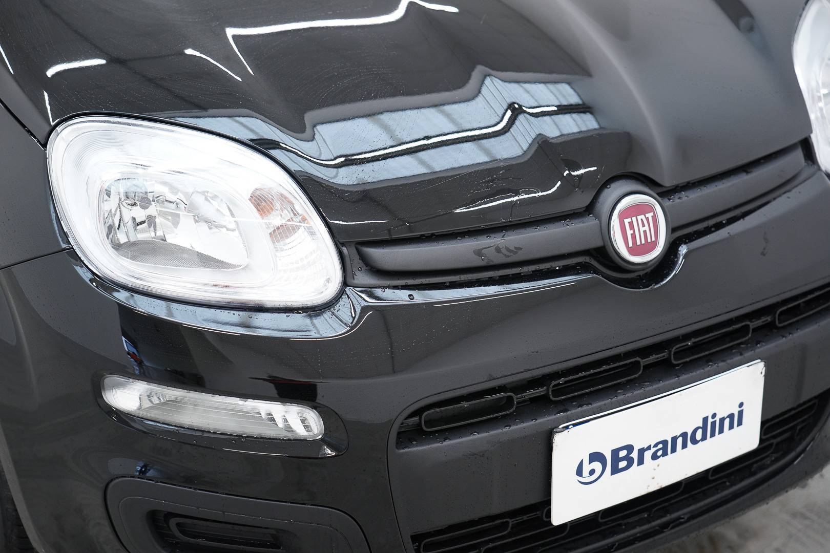 Auto Venduta - FIAT Panda Pandina 1.0 firefly hybrid Pop s&s 65cv usata in pronta consegna - Brandini