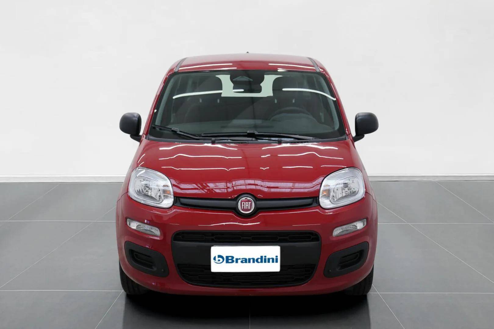 FIAT Panda Pandina 1.0 firefly hybrid Pop s&s 65cv usata in pronta consegna - Brandini