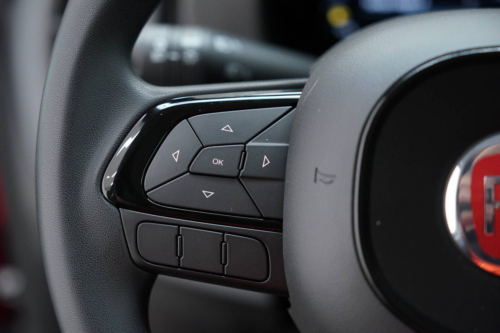 FIAT Panda Pandina 1.0 firefly hybrid Pop s&s 65cv usata in pronta consegna - Brandini