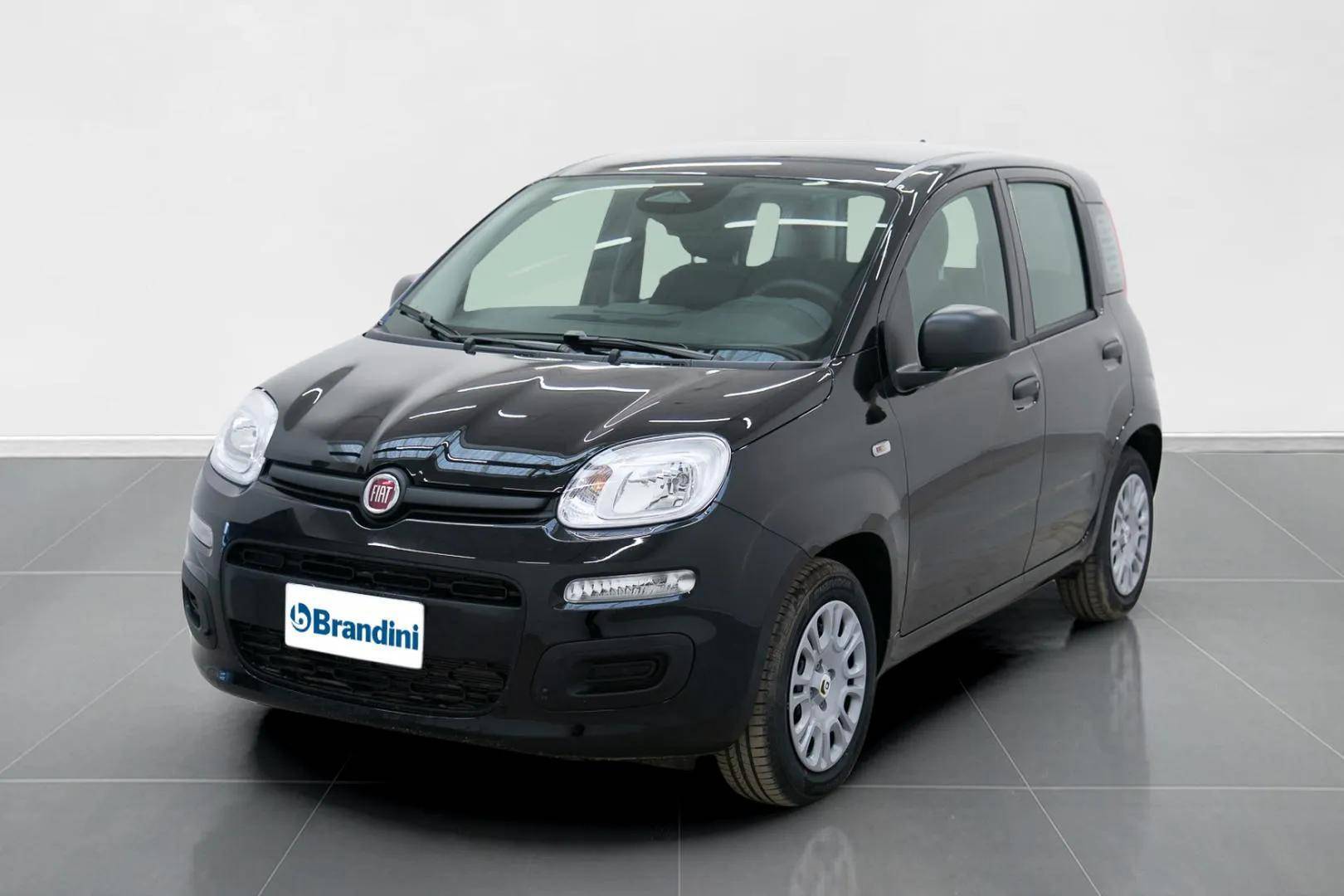 FIAT Panda Pandina 1.0 firefly hybrid Pop s&s 70cv usata in pronta consegna - Brandini