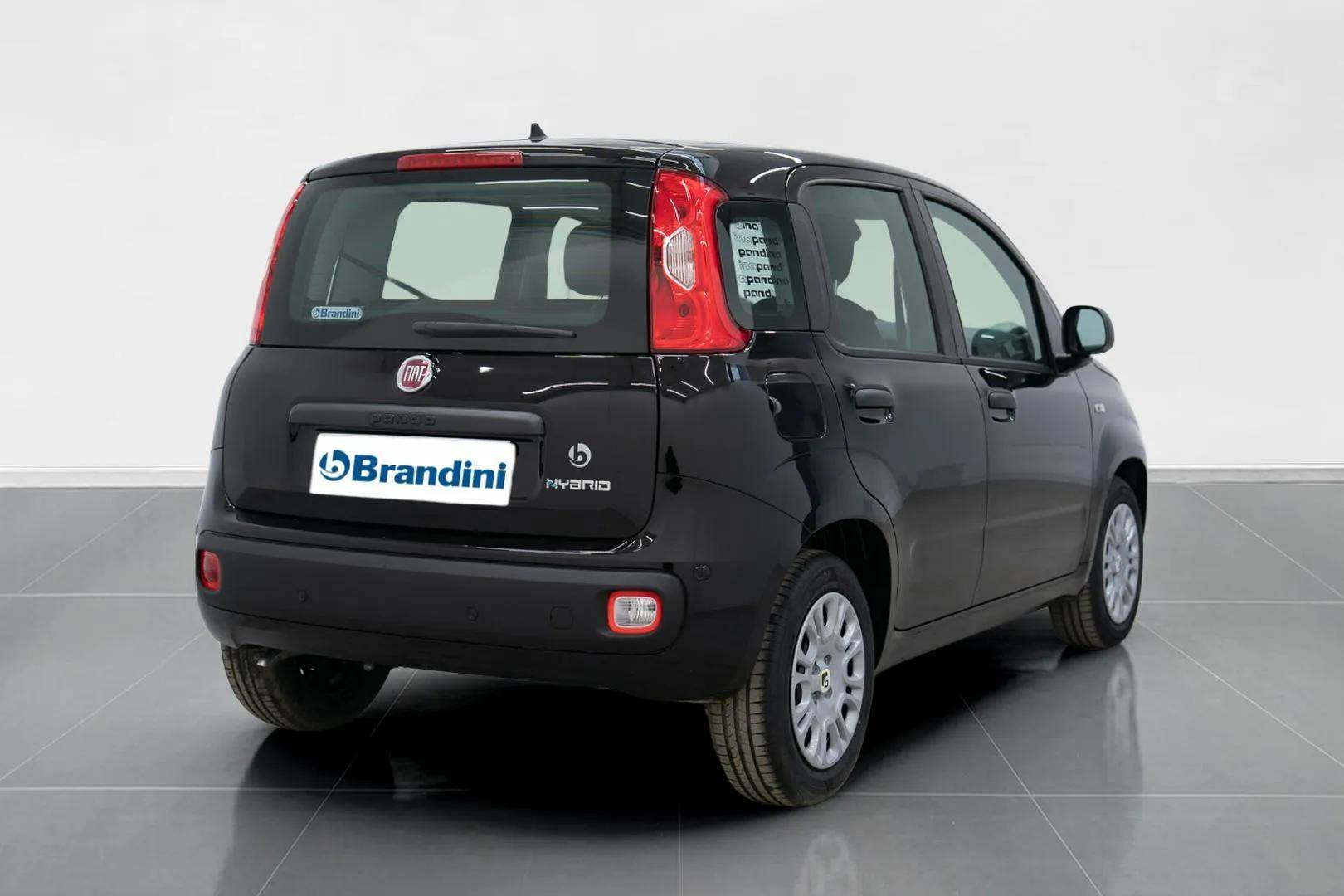 FIAT Panda Pandina 1.0 firefly hybrid Pop s&s 70cv usata in pronta consegna - Brandini