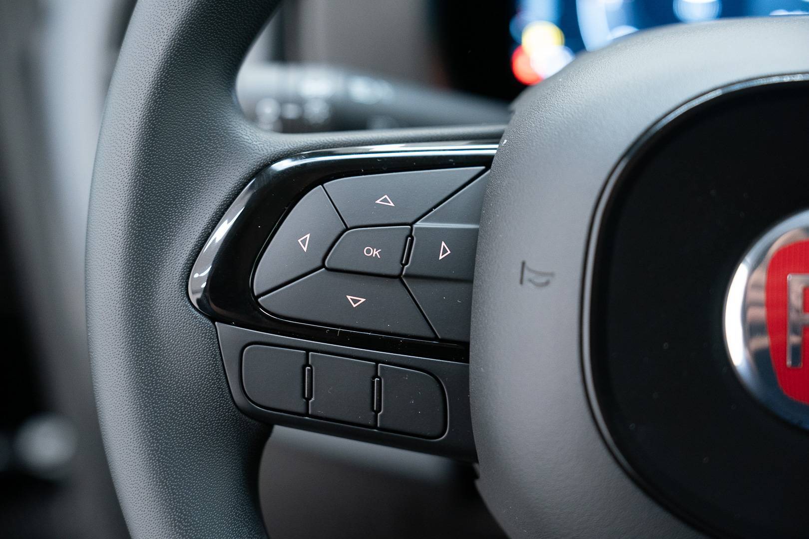 FIAT Panda Pandina 1.0 firefly hybrid Pop s&s 70cv usata in pronta consegna - Brandini