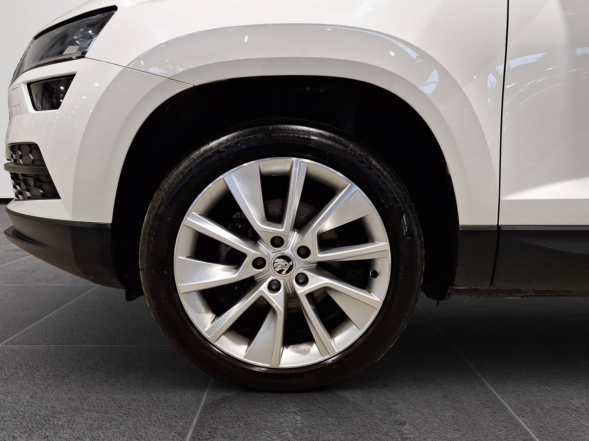 SKODA Karoq Karoq 1.6 tdi Style dsg usata in pronta consegna - Brandini