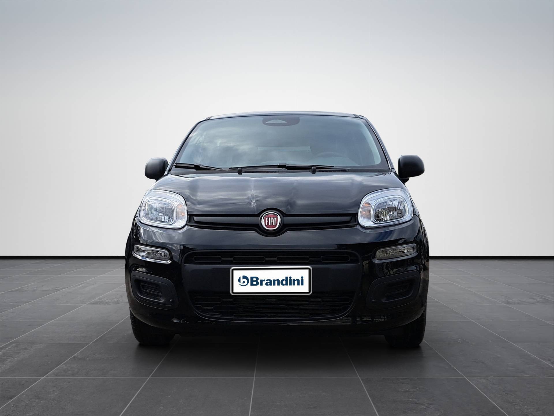 FIAT Panda Pandina 1.0 firefly hybrid Icon s&s 65cv 5p.ti usata in pronta consegna - Brandini