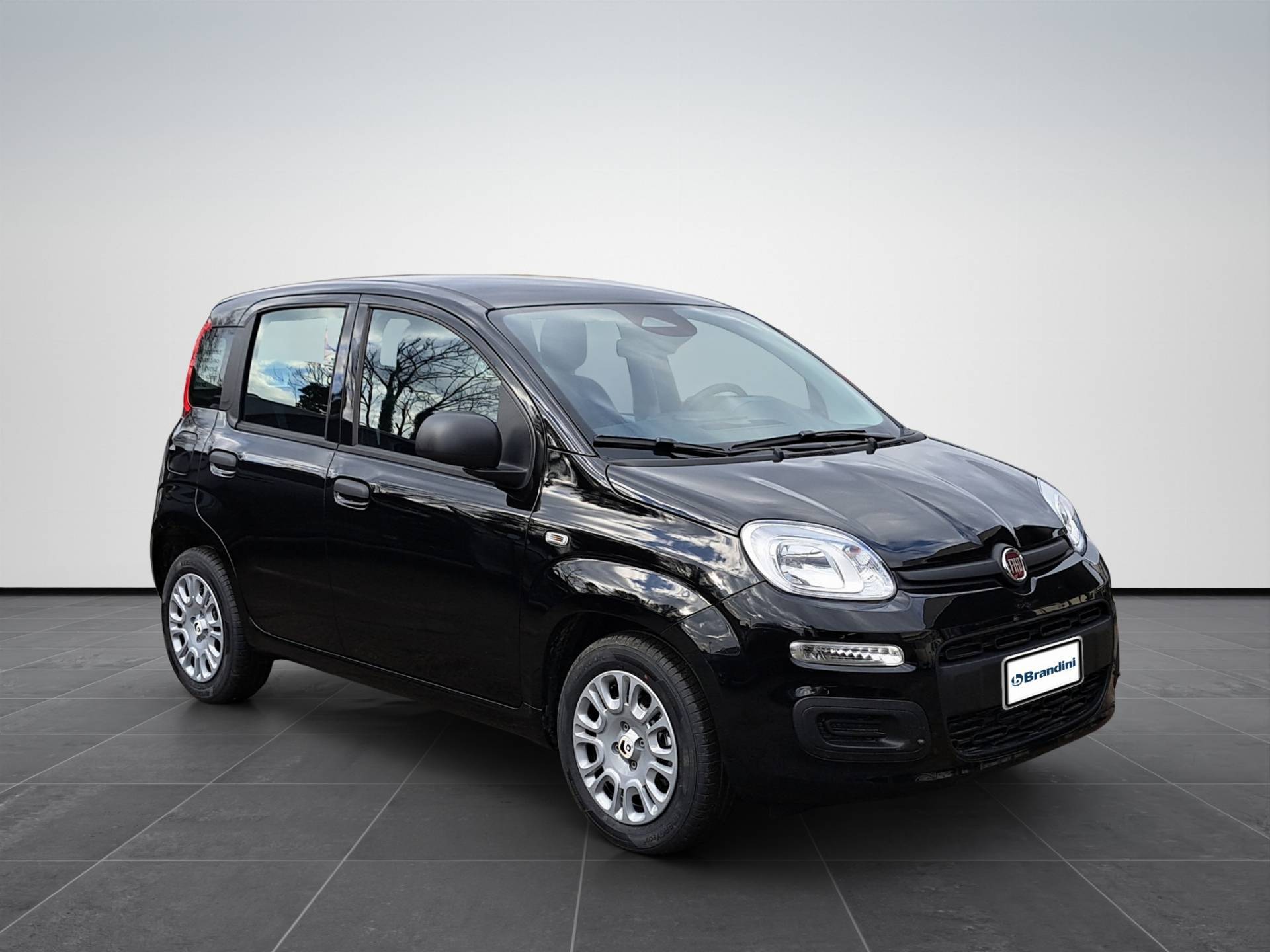 FIAT Panda Pandina 1.0 firefly hybrid Icon s&s 65cv 5p.ti usata in pronta consegna - Brandini