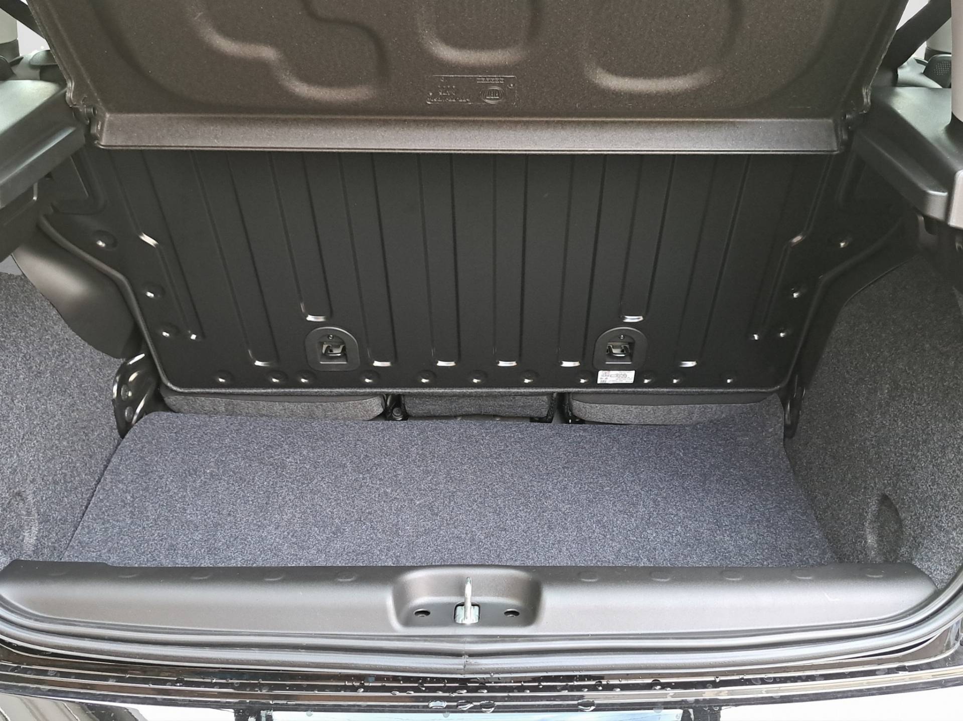 FIAT Panda Pandina 1.0 firefly hybrid Icon s&s 65cv 5p.ti usata in pronta consegna - Brandini