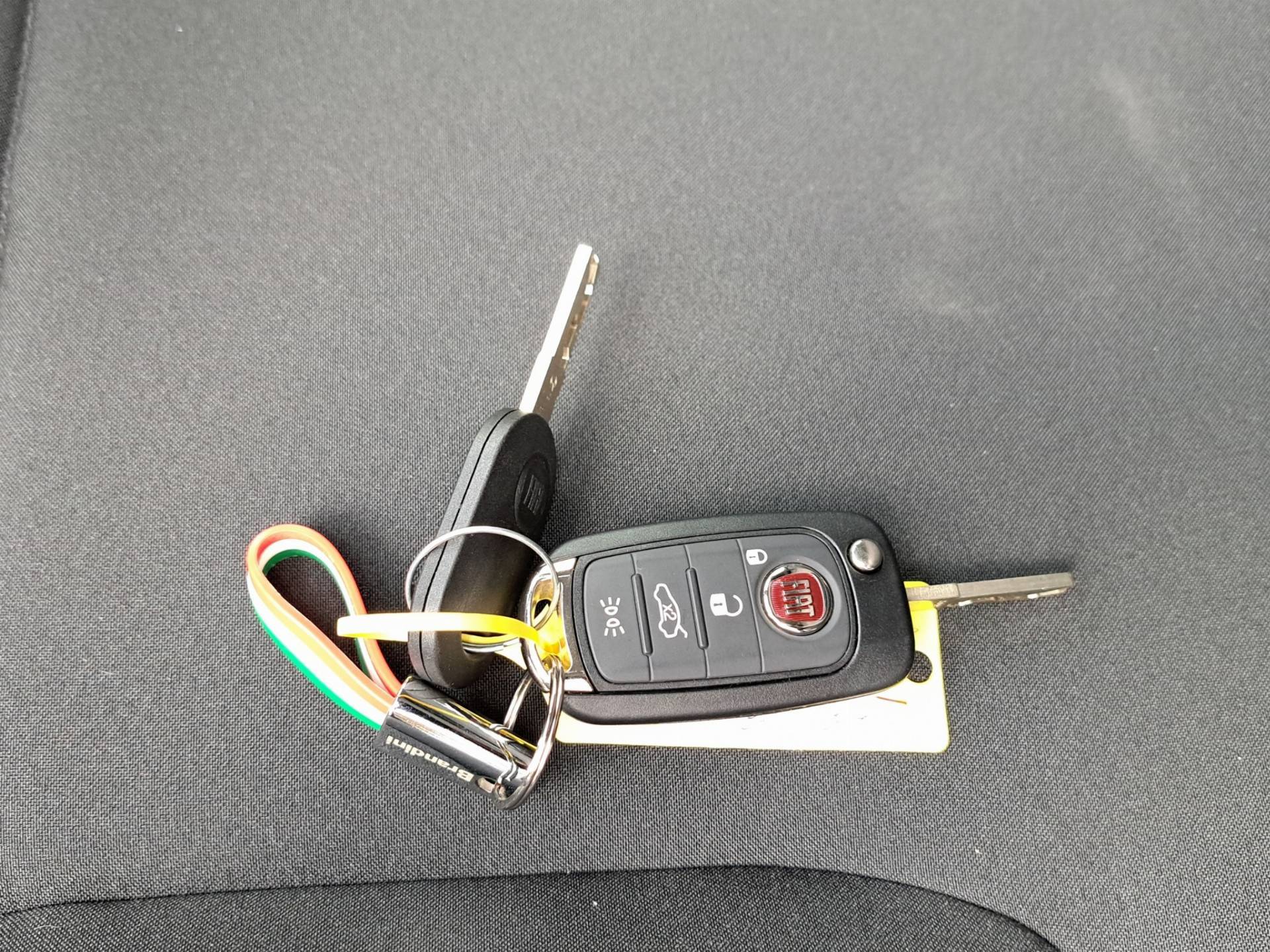 FIAT Panda Pandina 1.0 firefly hybrid Icon s&s 65cv 5p.ti usata in pronta consegna - Brandini