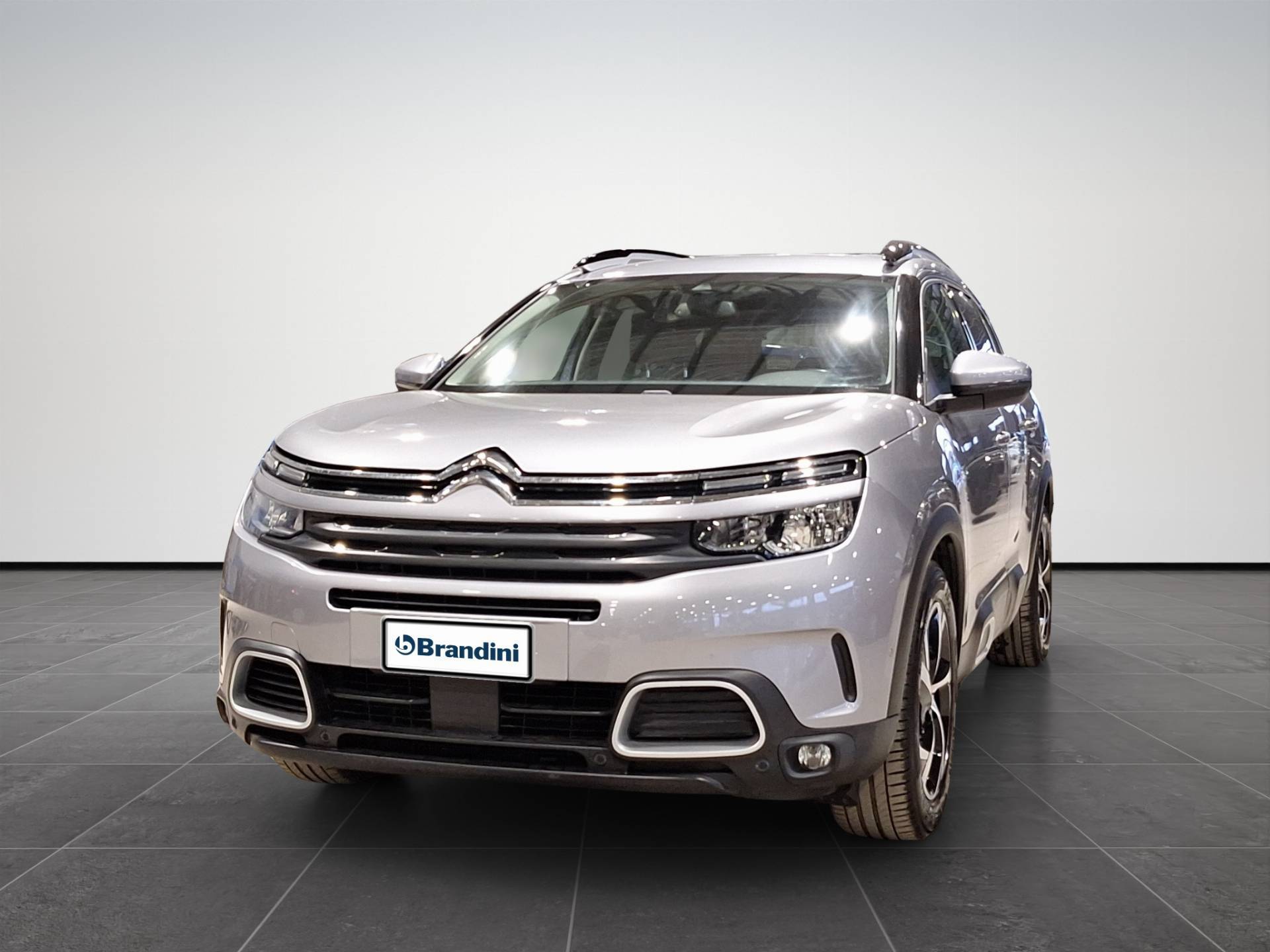 CITROEN C5 Aircross C5 Aircross 1.5 bluehdi Shine s&s 130cv usata in pronta consegna - Brandini