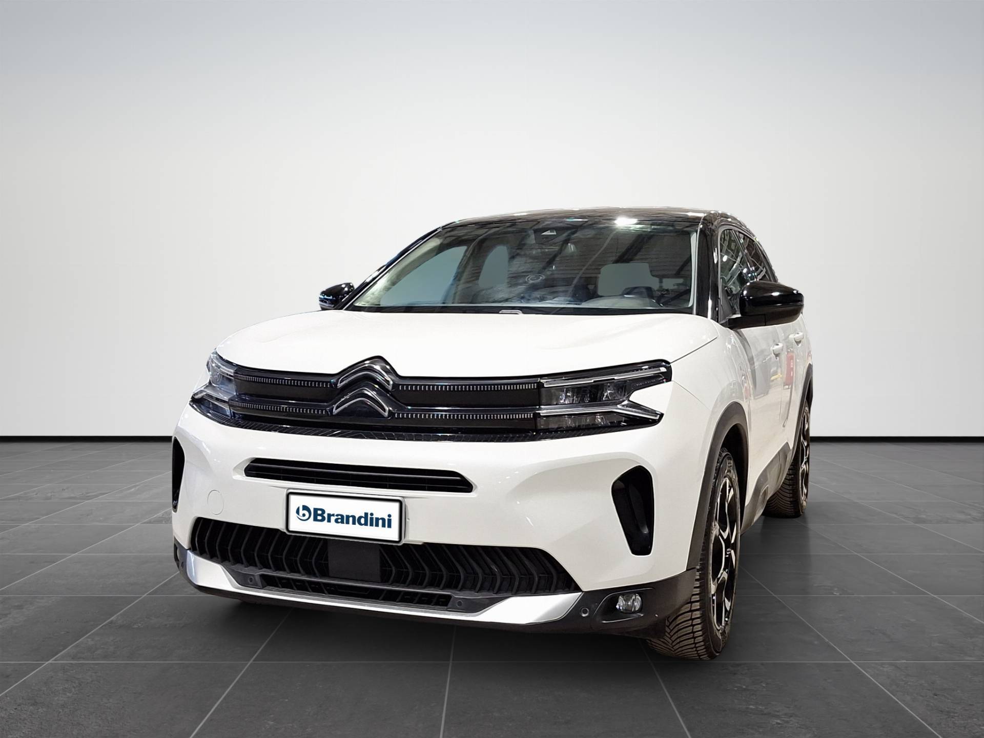 CITROEN C5 Aircross C5 Aircross 1.5 bluehdi Shine s&s 130cv eat8 N1 usata in pronta consegna - Brandini